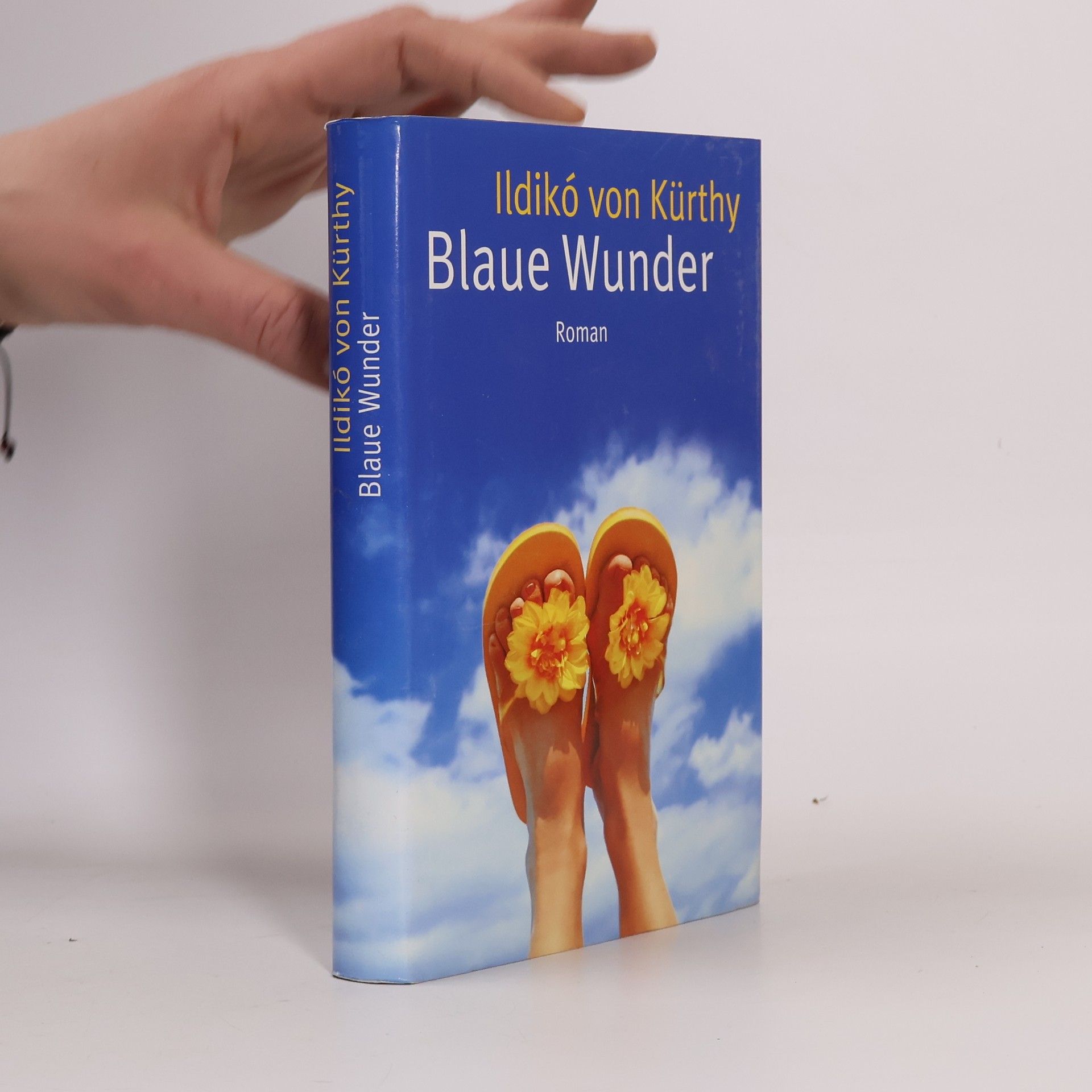 Ildikó von Kürthy Blaue Wunder