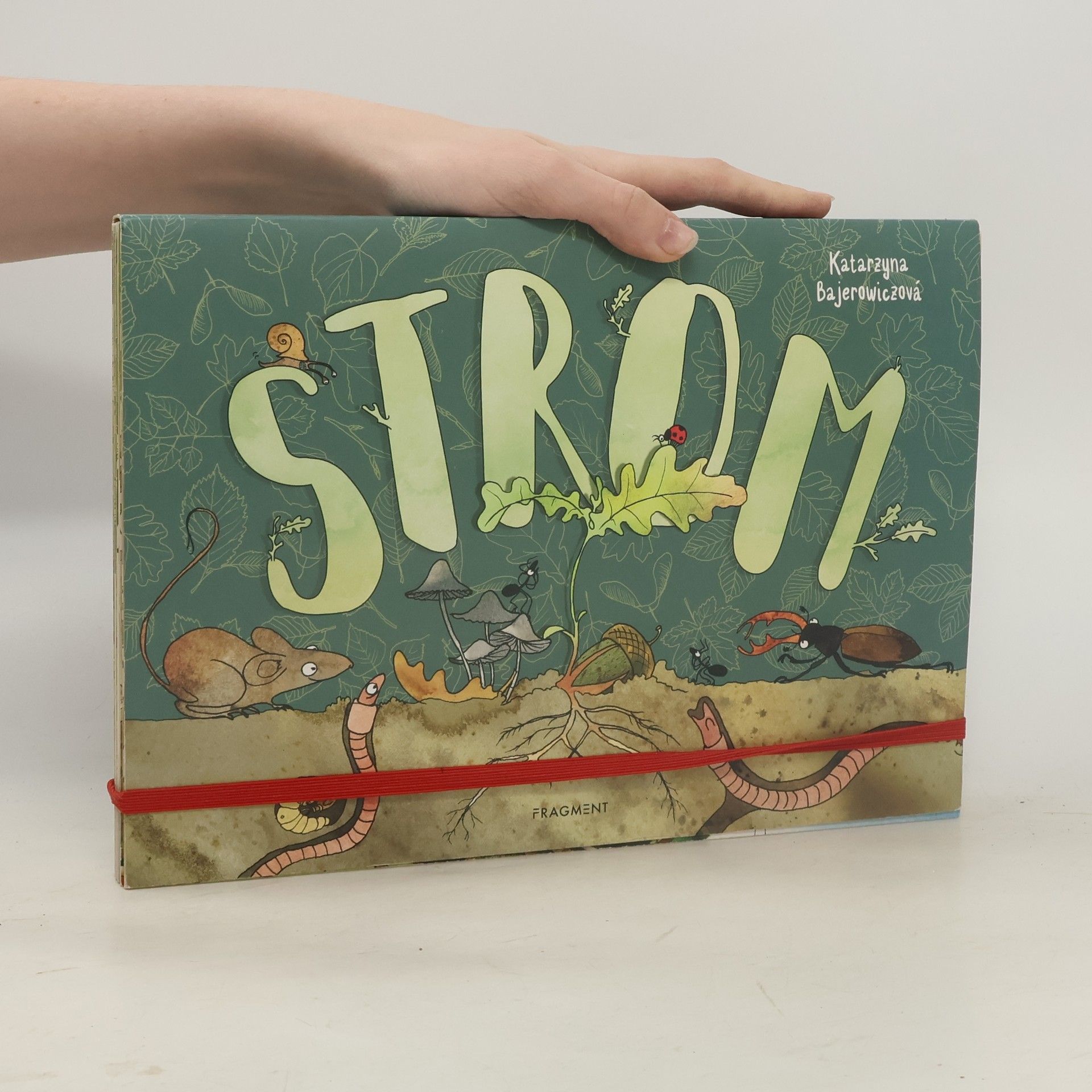 Katarzyna Bajerowicz Strom