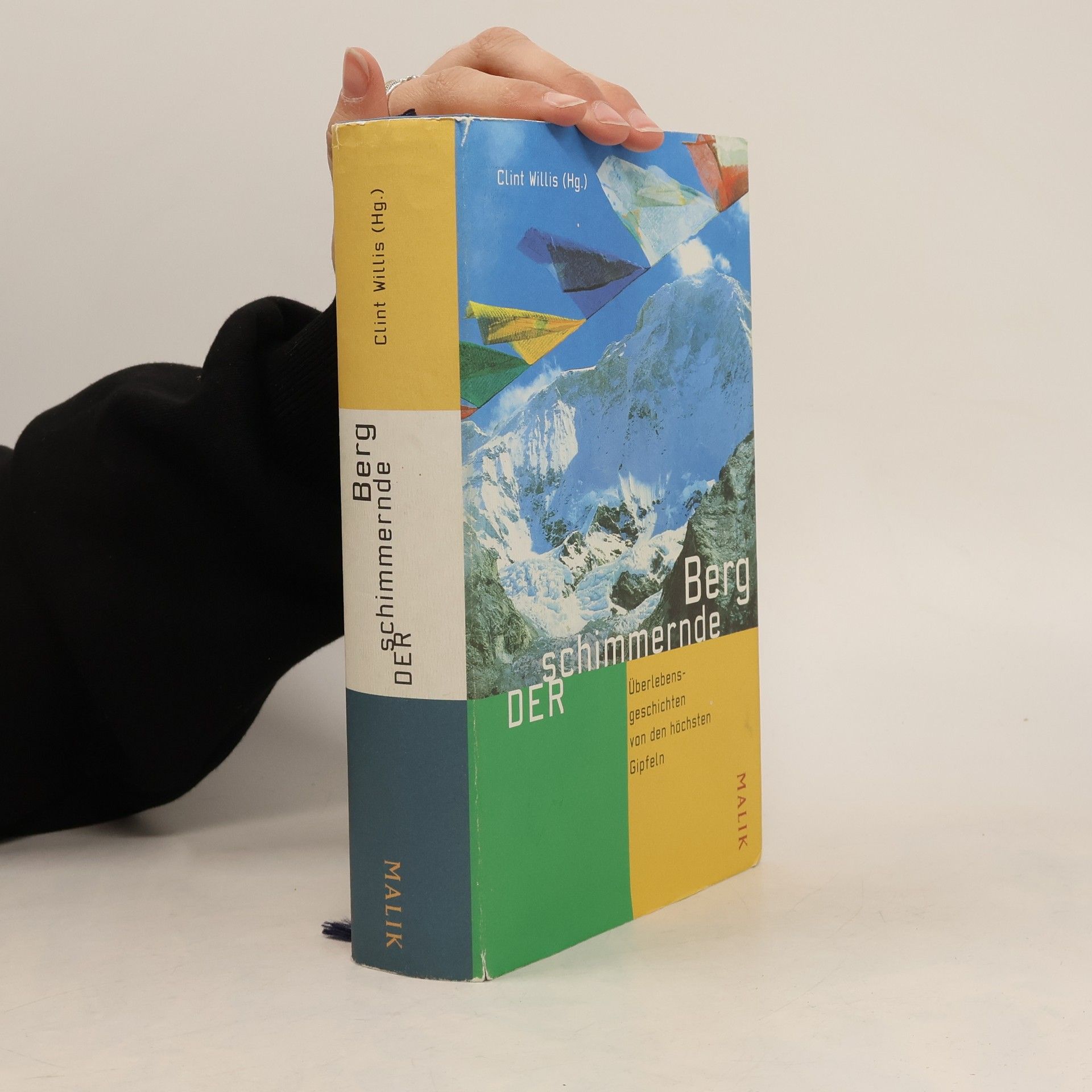 Clint Willis Der schimmernde Berg