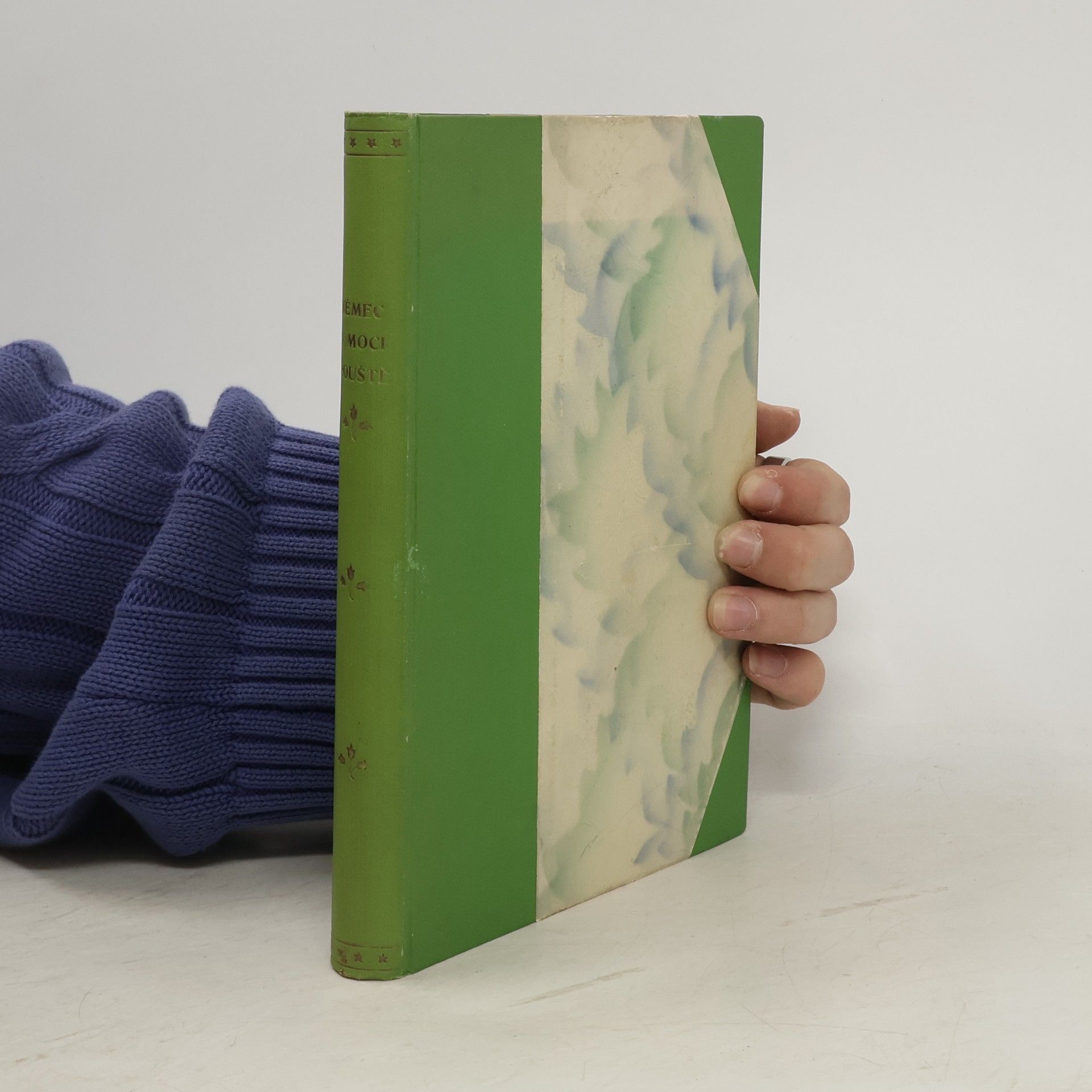 Vilém Němec V moci pouště