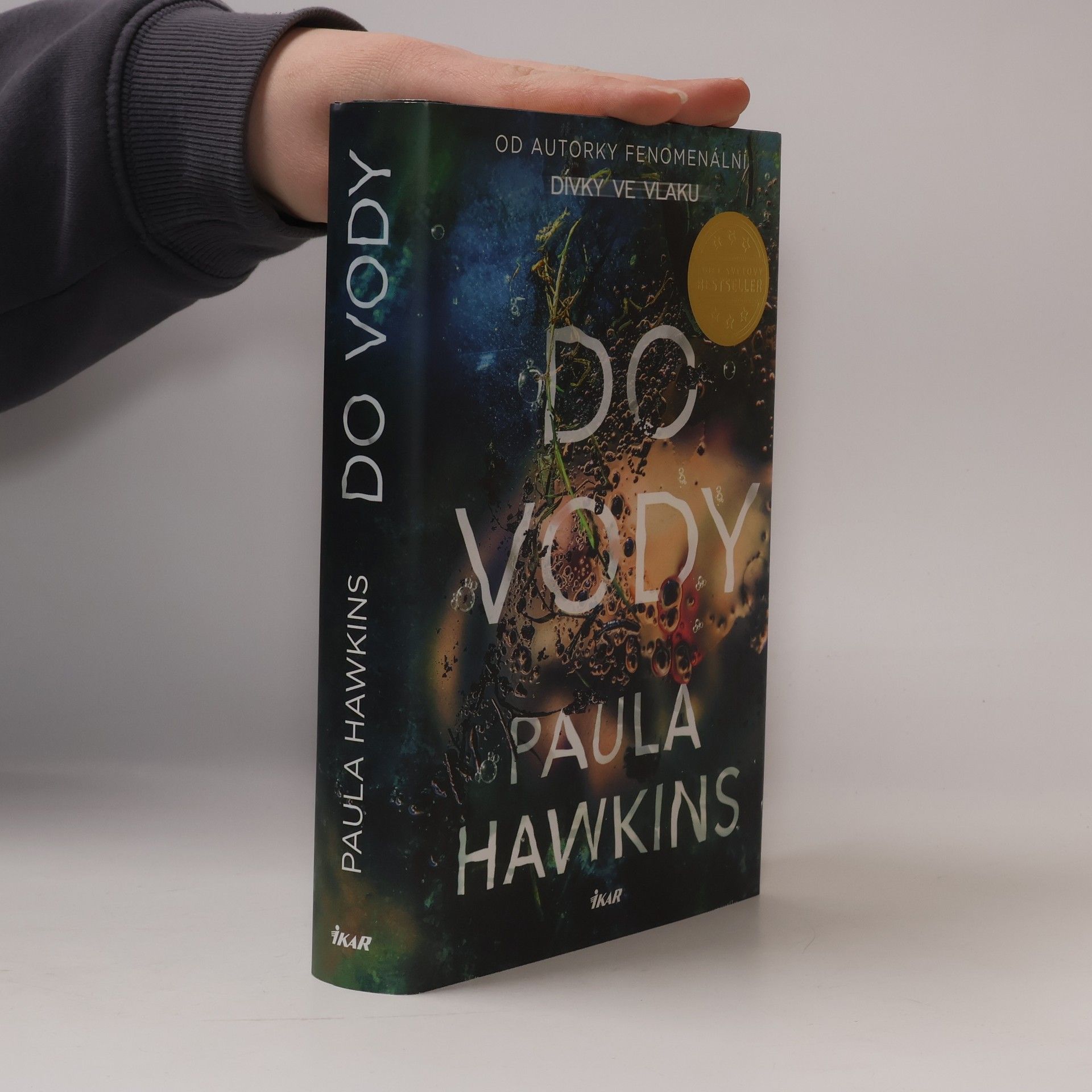 Paula Hawkins Do vody