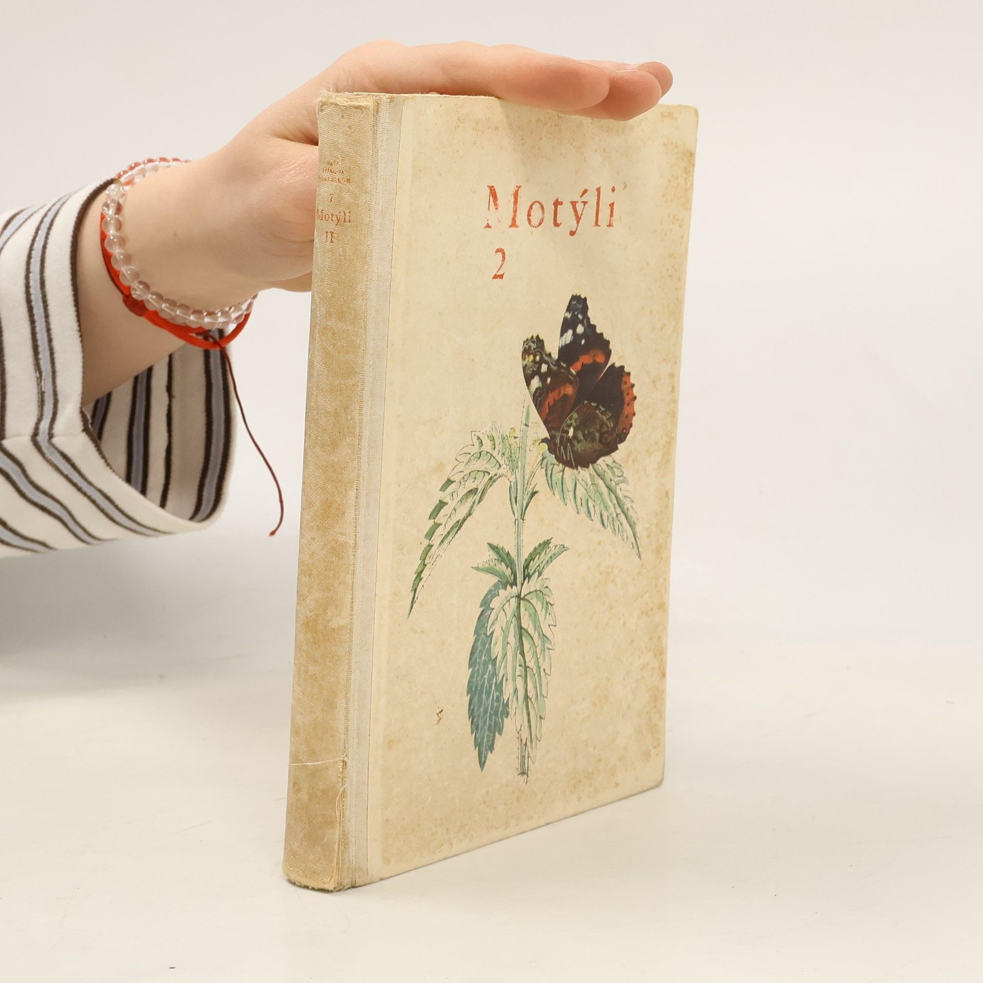 Rudolf Schwarz Motýli 2