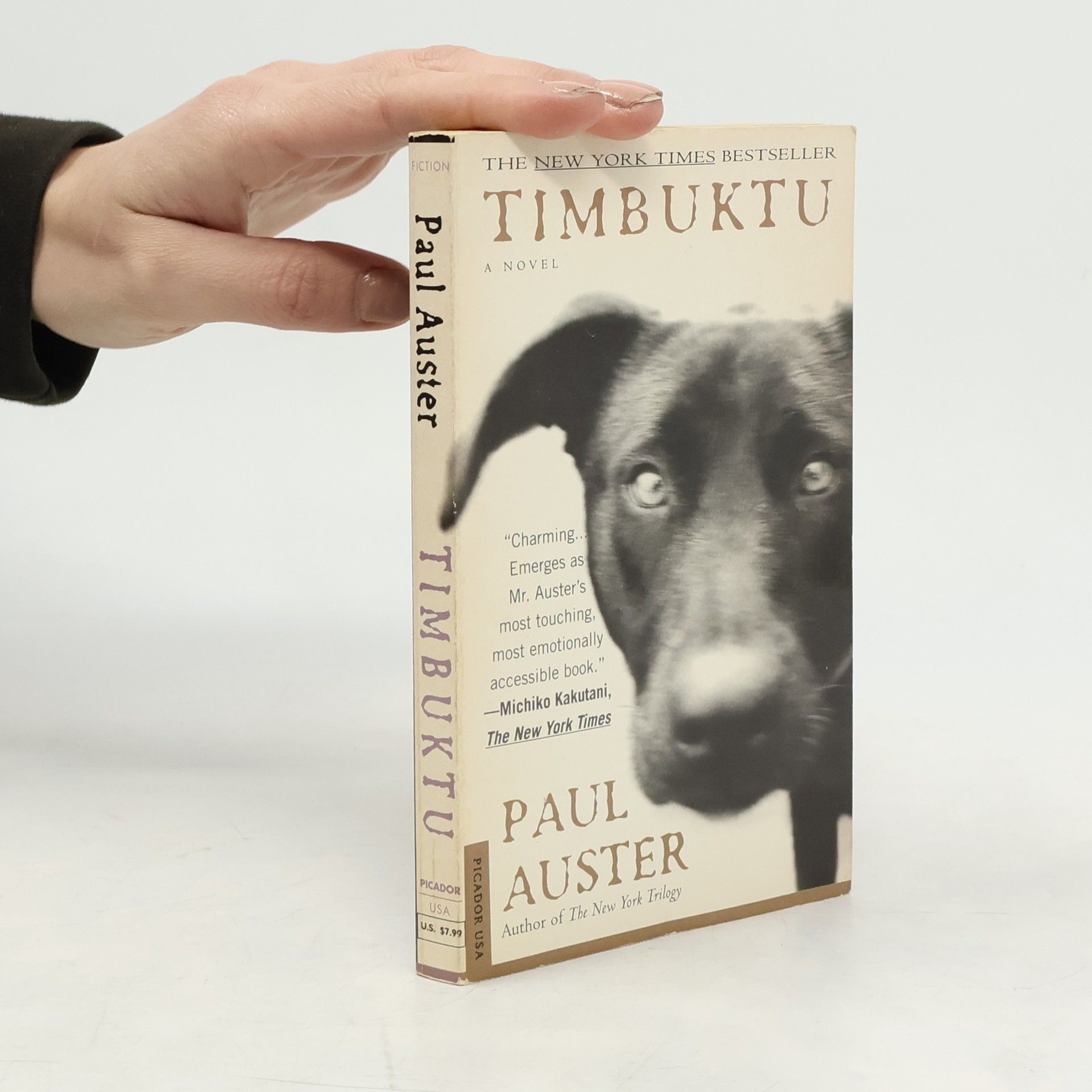 Paul Auster Timbuktu