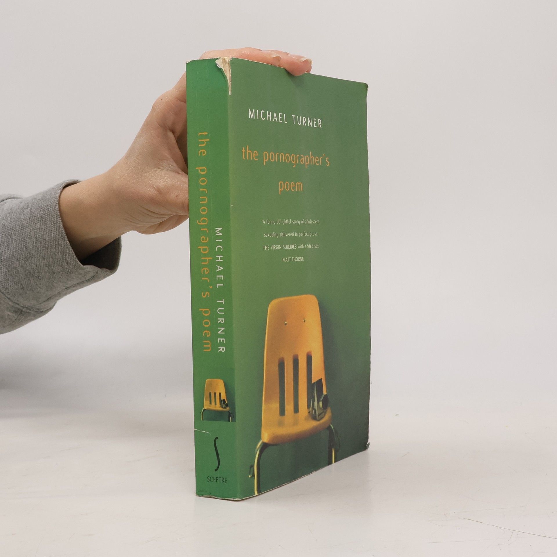 Michael Turner The Pornographer's Poem