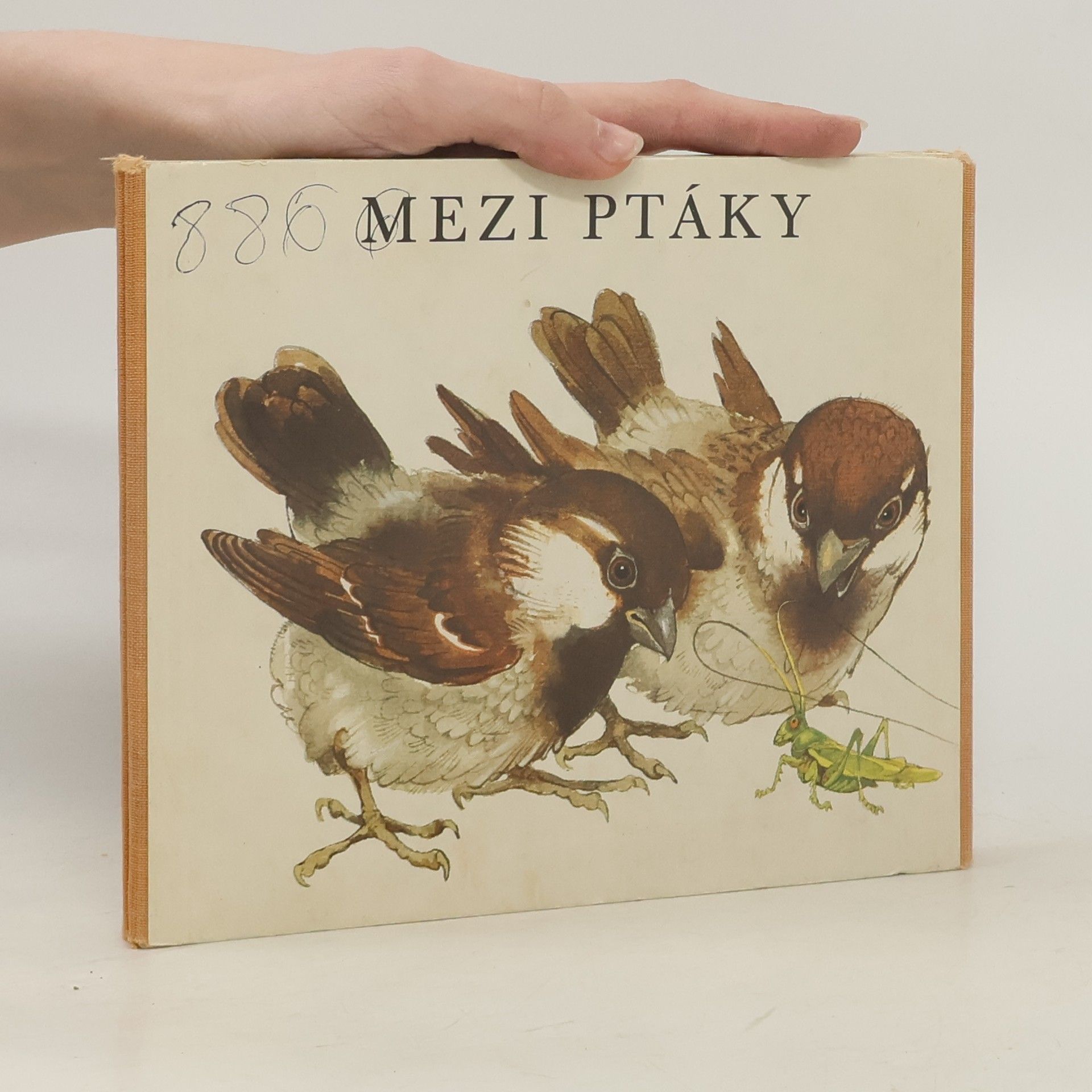 Vladimír Machaj Mezi ptáky