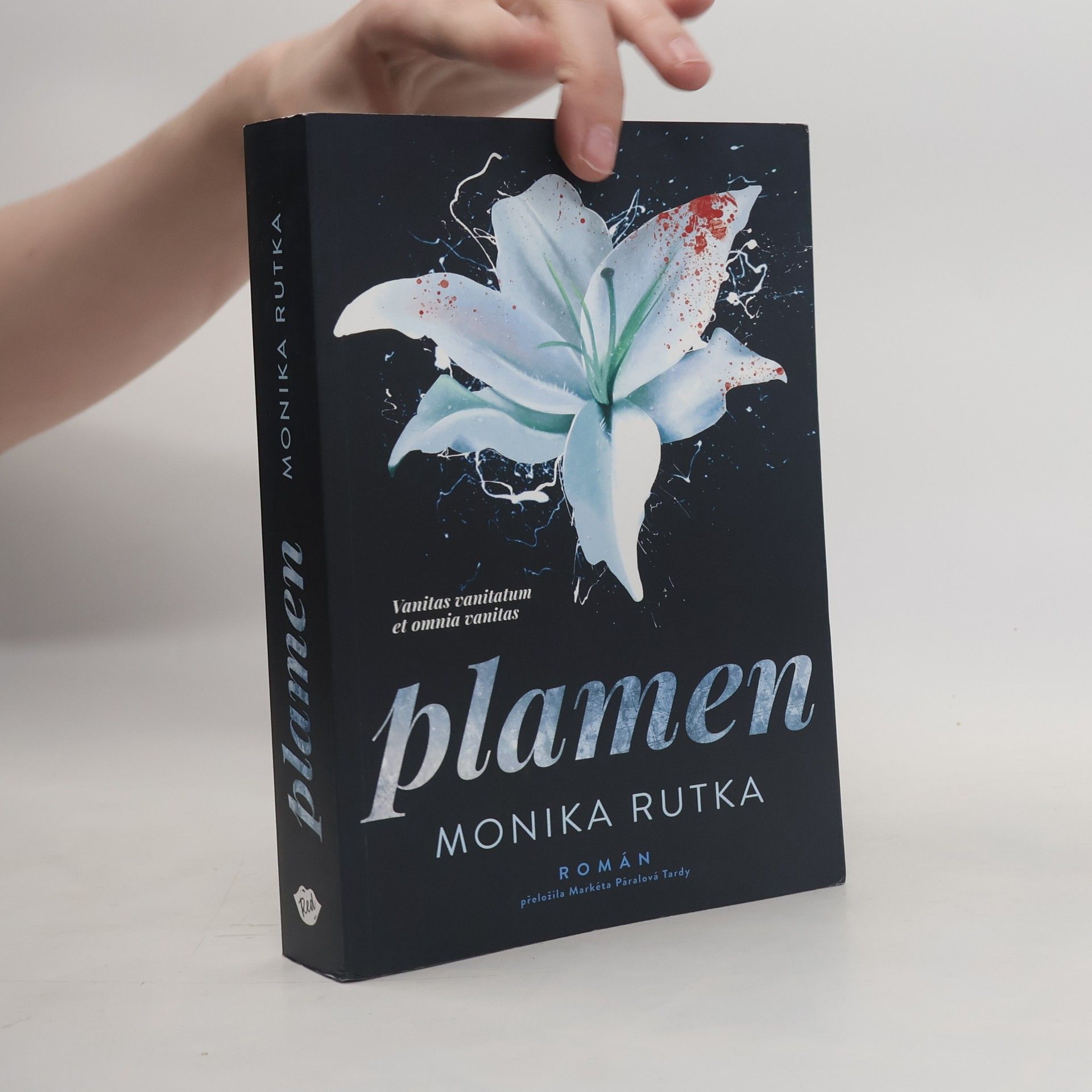 Plamen