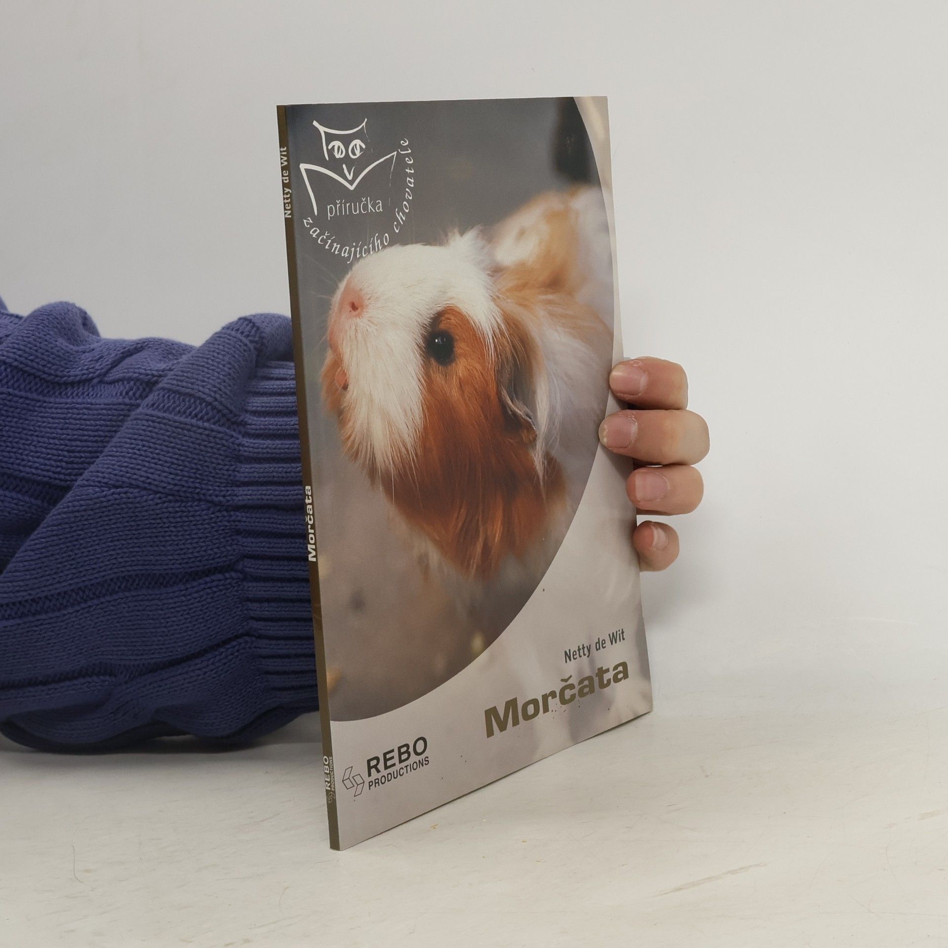 Netty de Wit Morčata