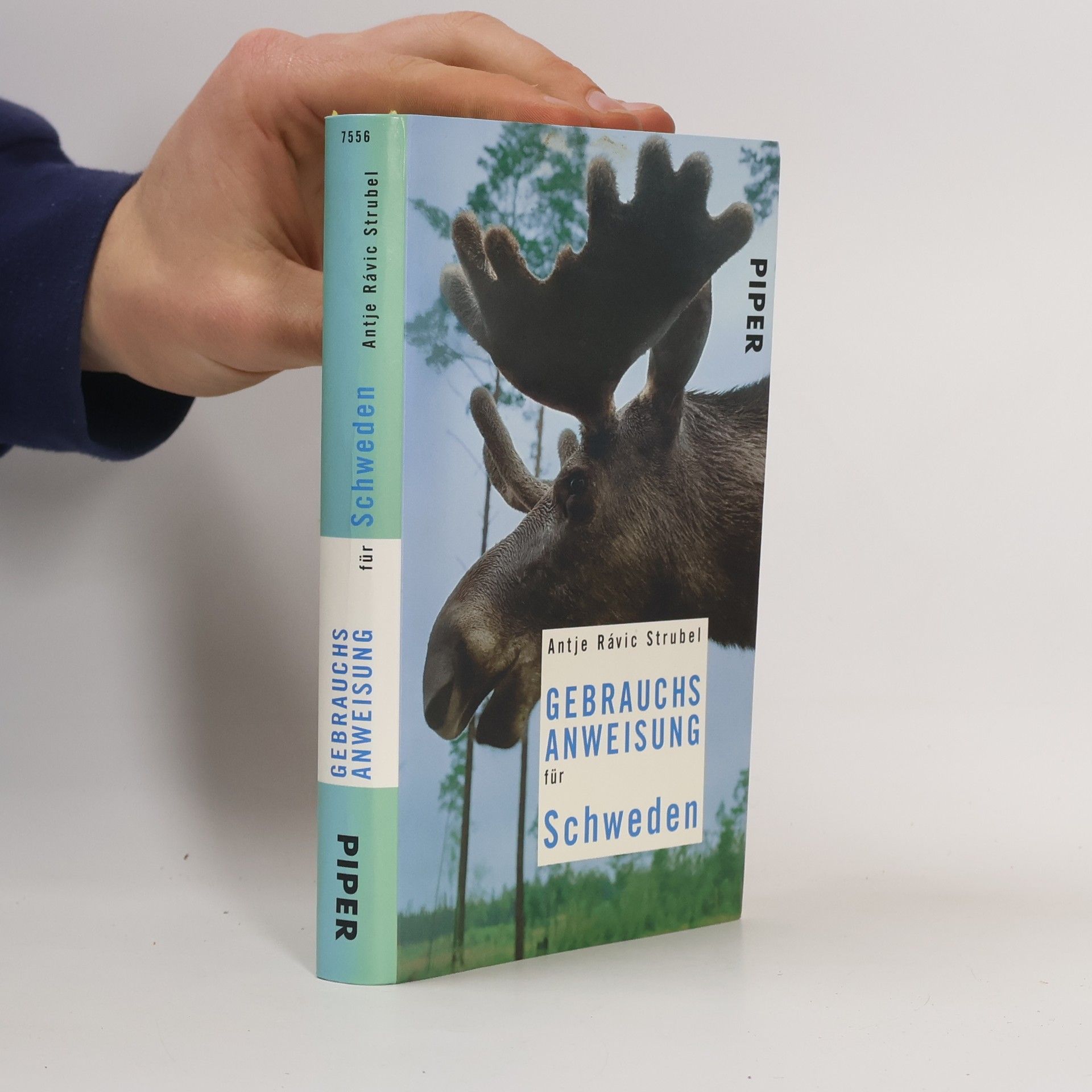 Antje Rávic Strubel Gebrauchsanweisung für Schweden