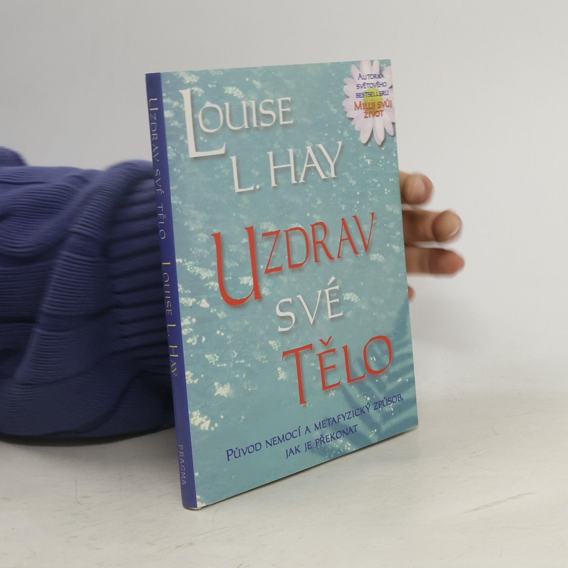 Louise Lynn Hay Uzdrav své tělo: Původ nemocí a metafyzický způsob, jak je překonat