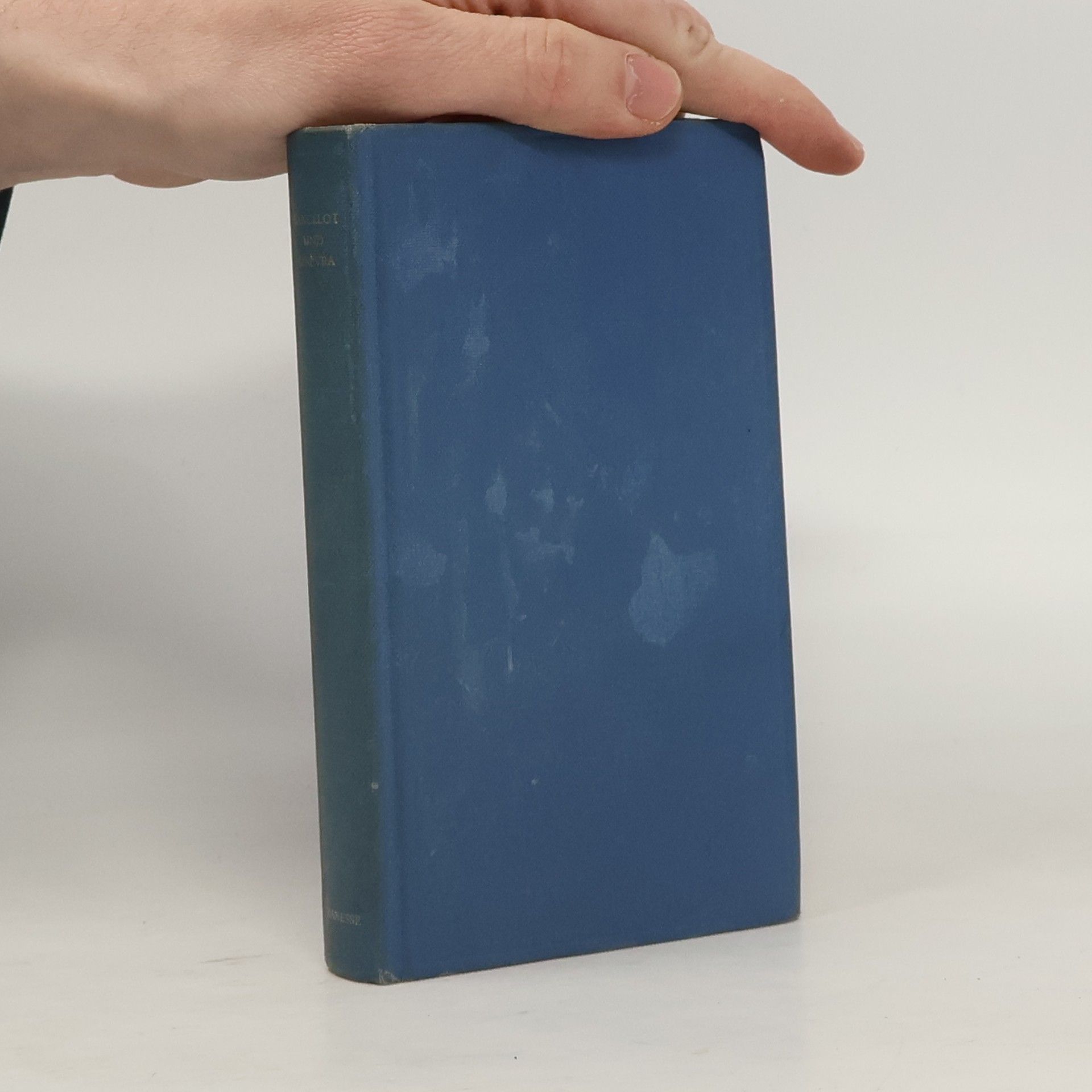 Ruth Schirmer Lancelot und Ginevra