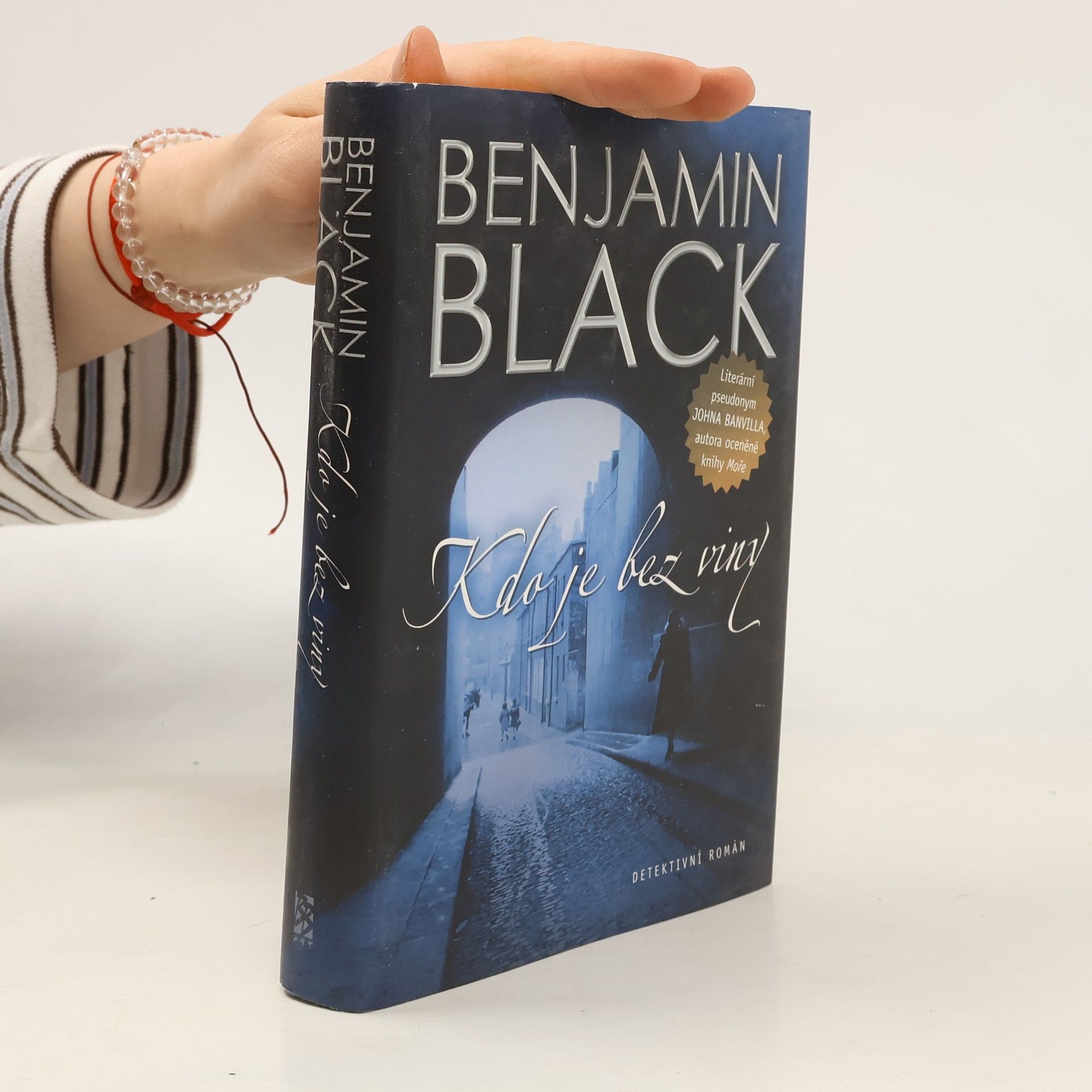 John Banville Kdo je bez viny