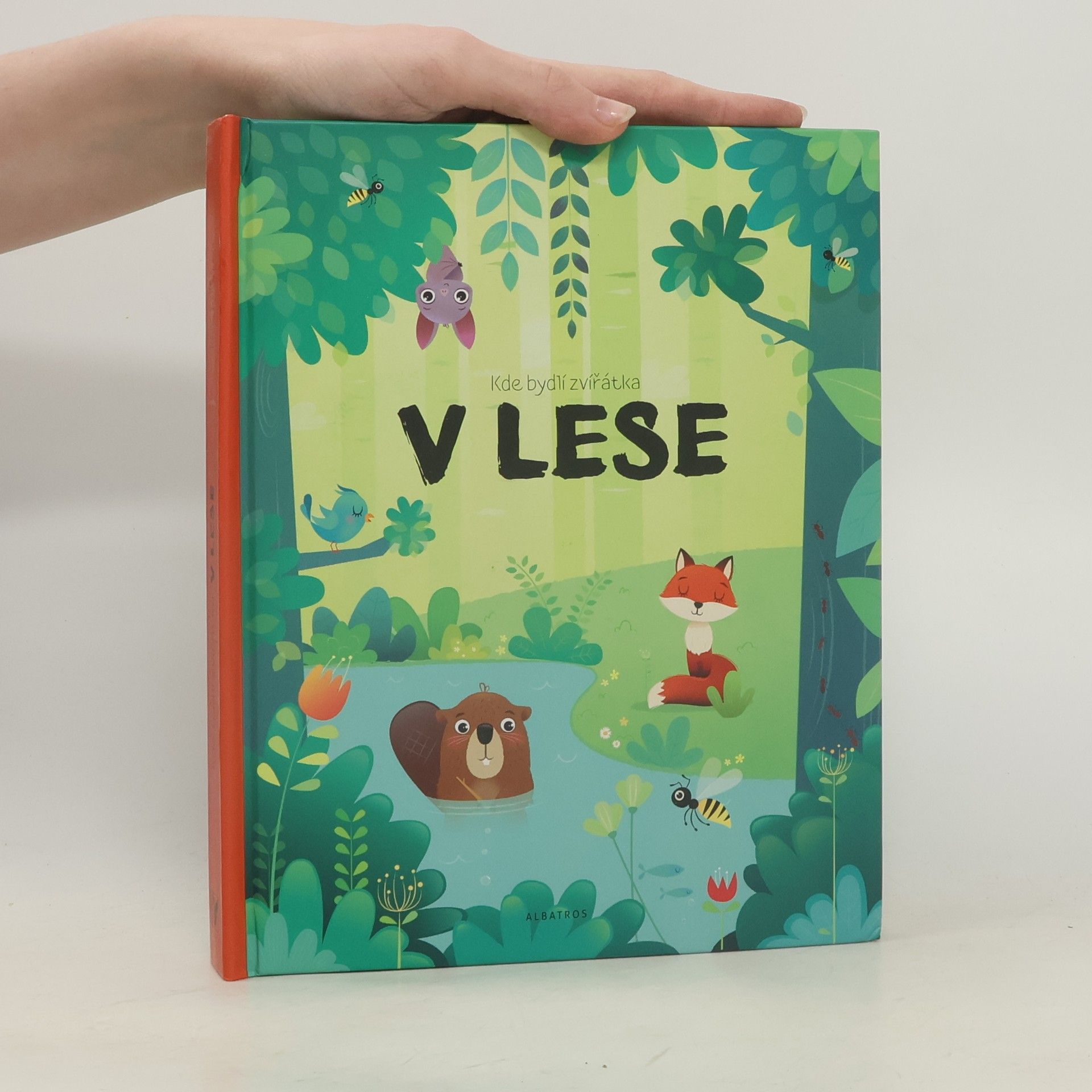 V lese : Kde bydlí zvířátka