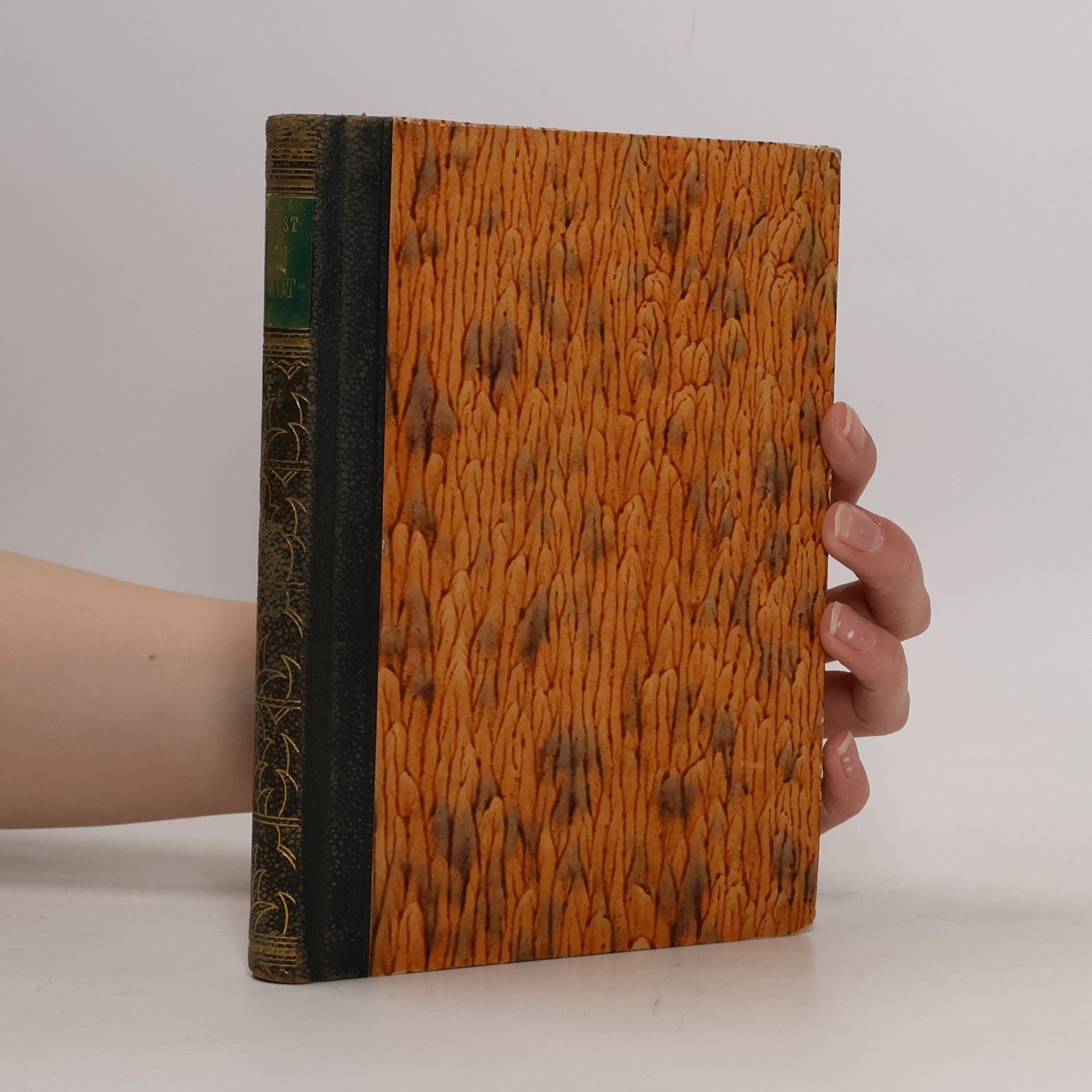 Abbé Prévost Manon Lescaut