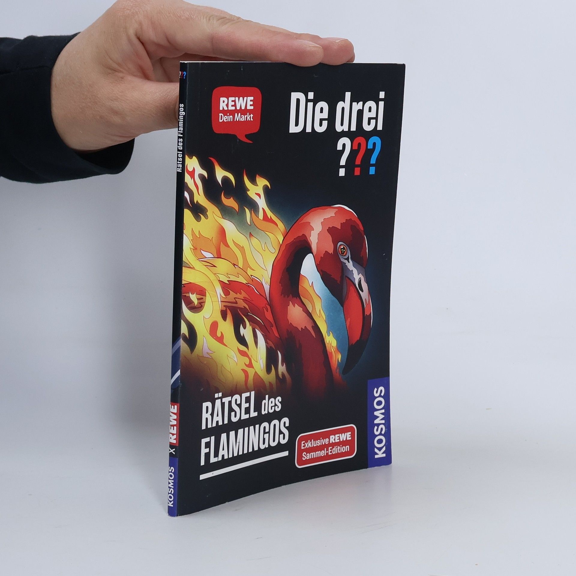 Andreas Ruch Die drei??? Rätsel des Flamingos