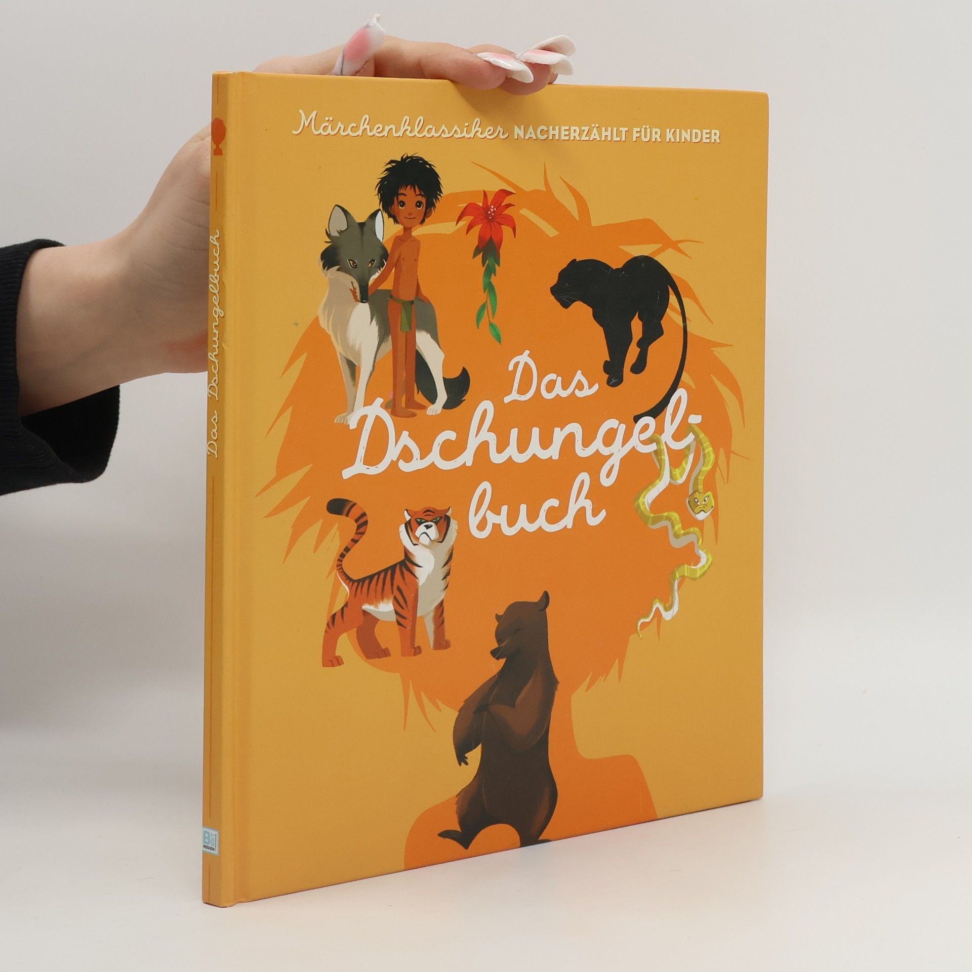 Kolektív autorov Das Dschungelbuch