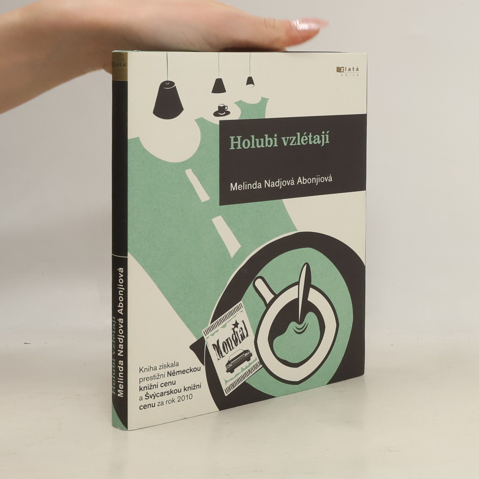 Melinda Nadj Abonji Holubi vzlétají