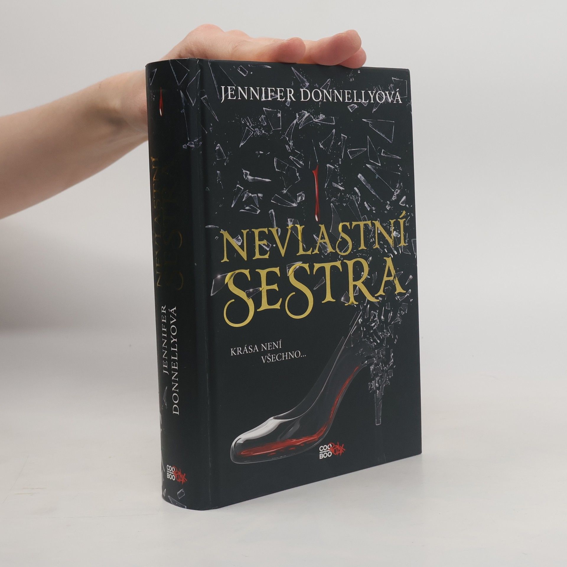 Jennifer Donnelly Nevlastní sestra