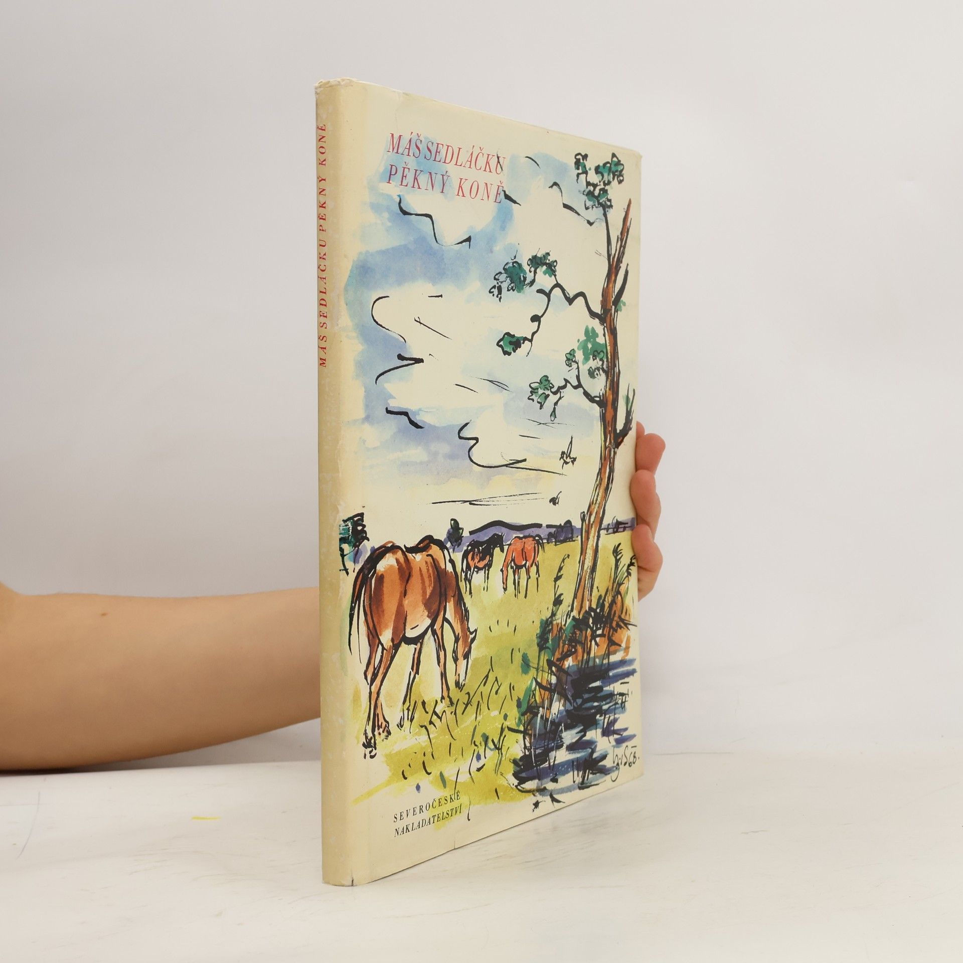 Máš Sedláčku pěkný koně