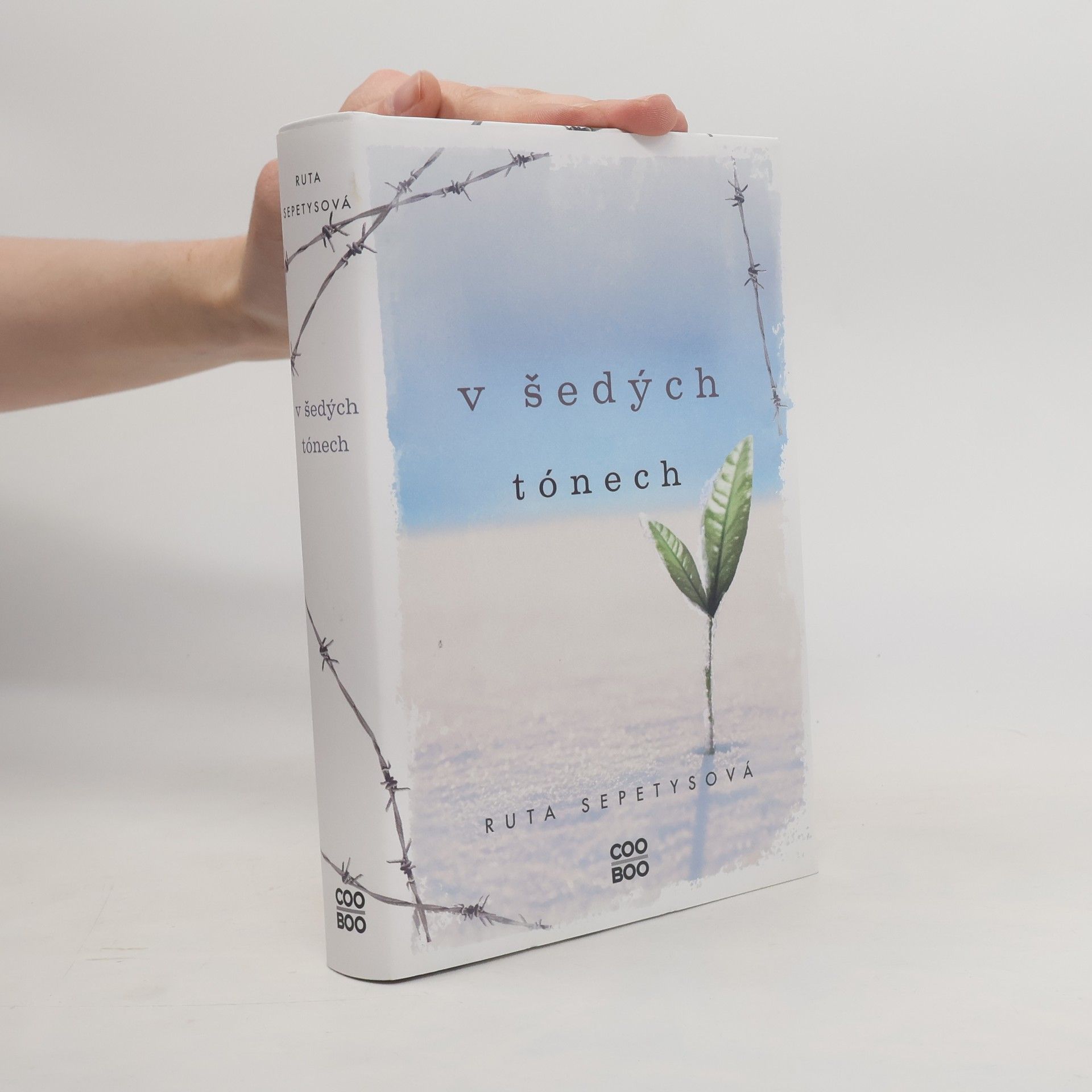 Ruta Sepetys V šedých tónech