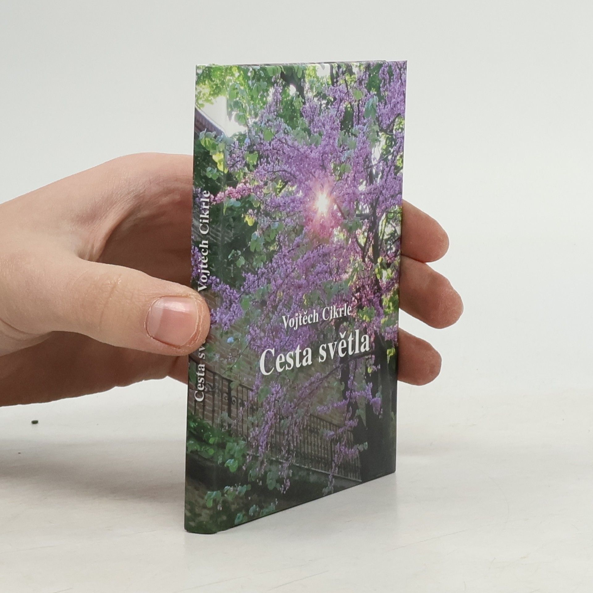Vojtěch Cikrle Cesta světla