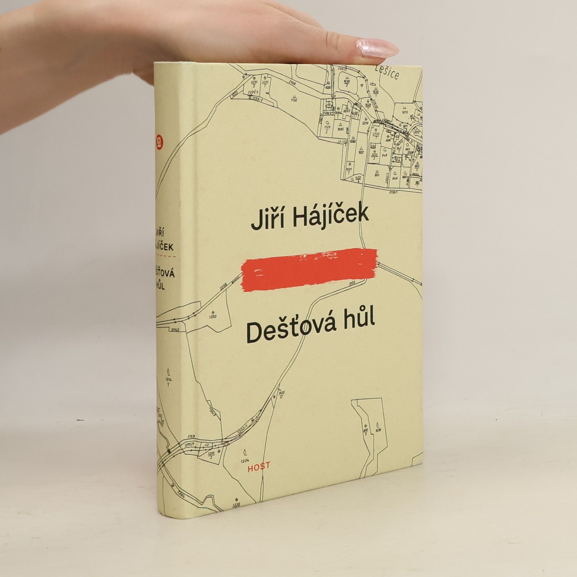 Jiří Hájíček Dešťová hůl