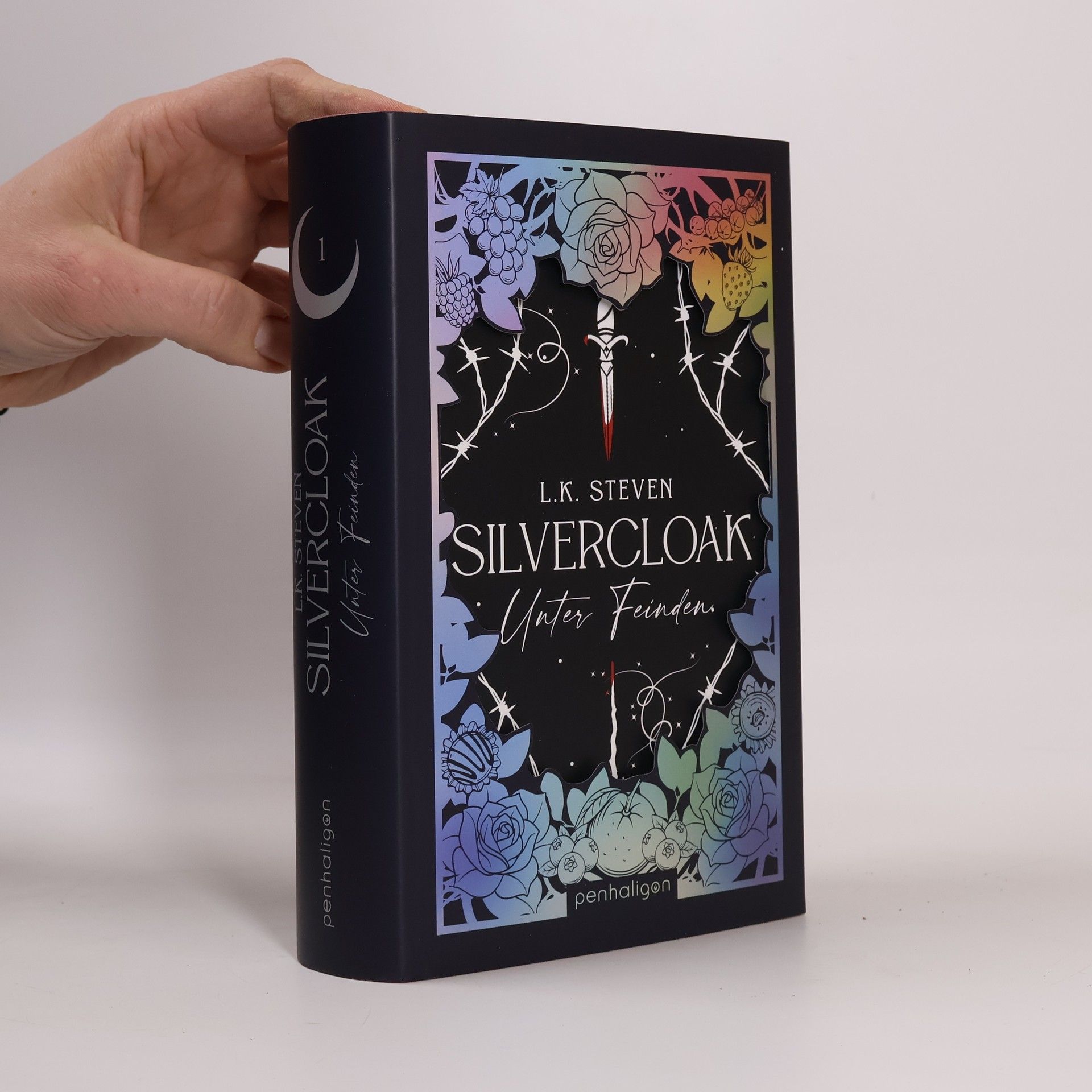 L.K. Steven Silvercloak - Unter Feinden