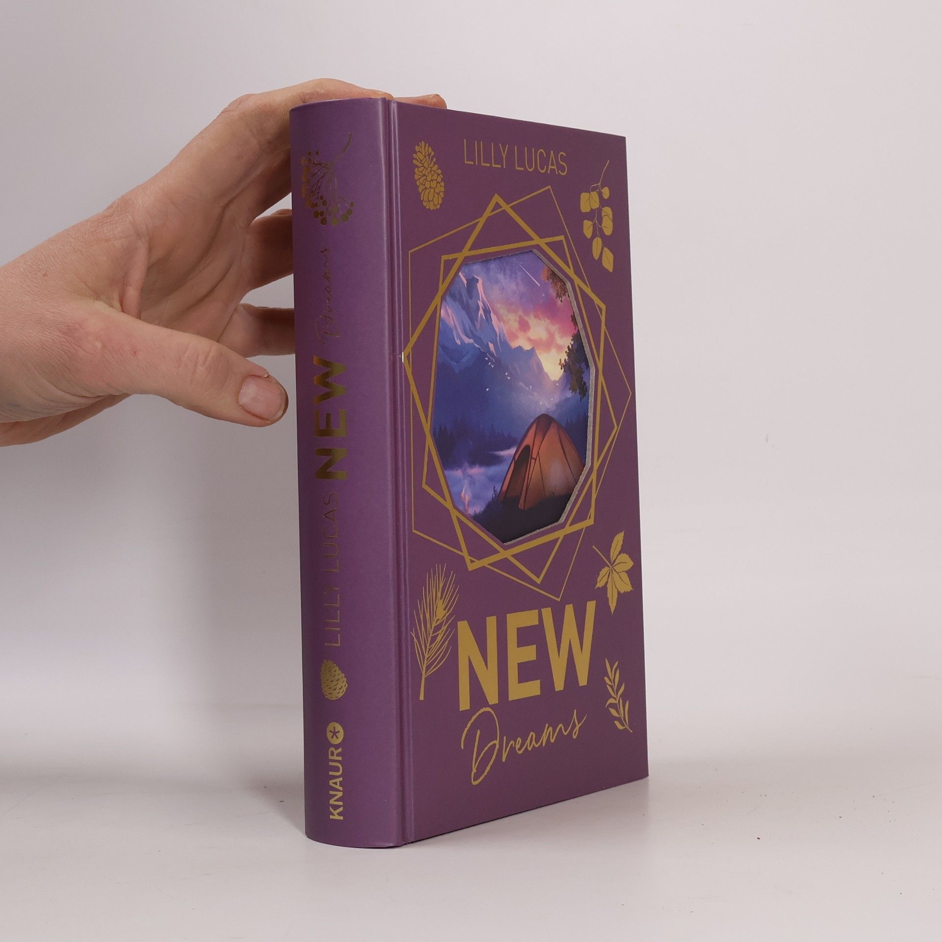 Lilly Lucas New Dreams