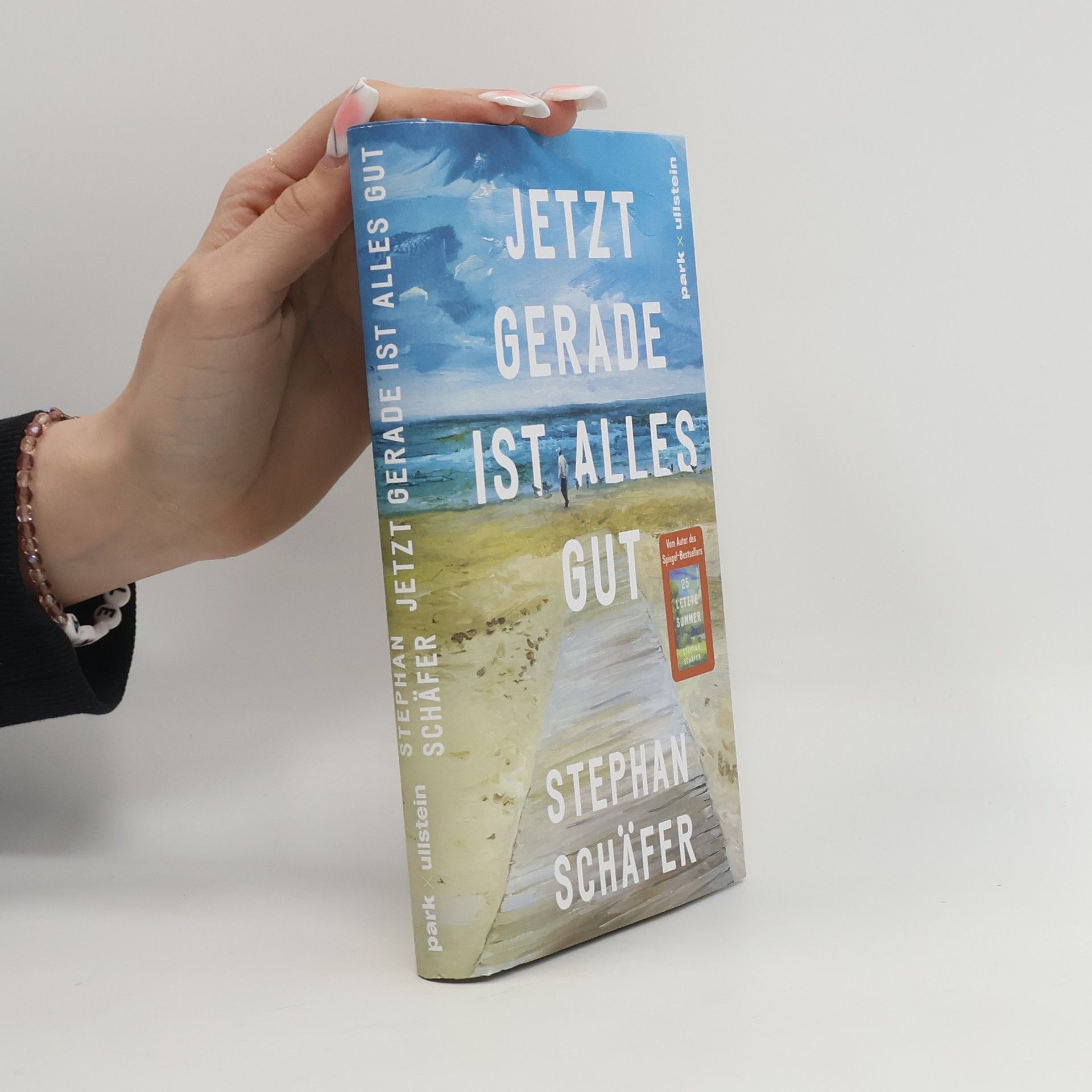 Stephan Schäfer Jetzt gerade ist alles gut