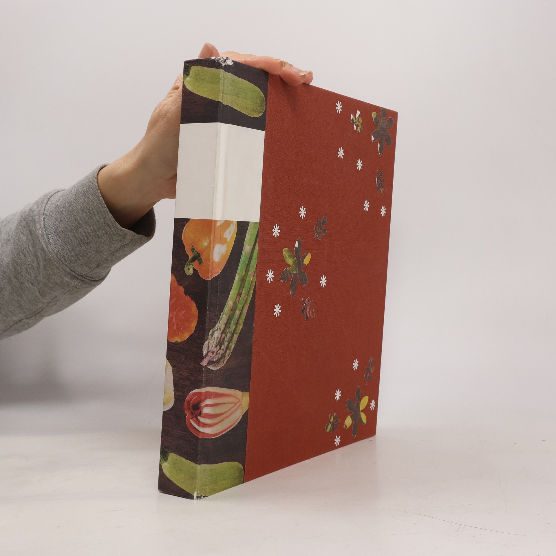 Dita Pecháčková Deník Dity P. Kuchařka. 2. díl