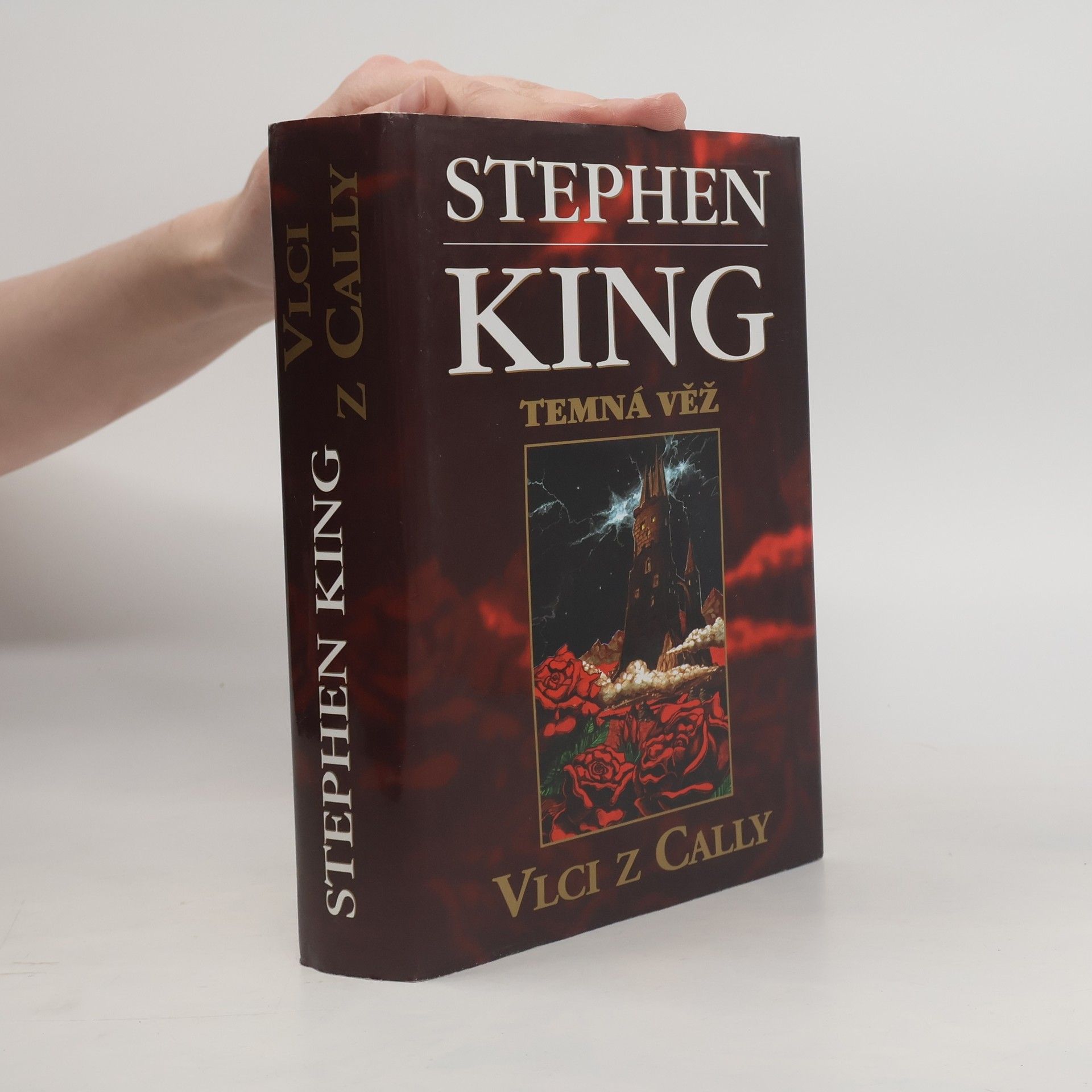Stephen King Temná věž: Vlci z Cally