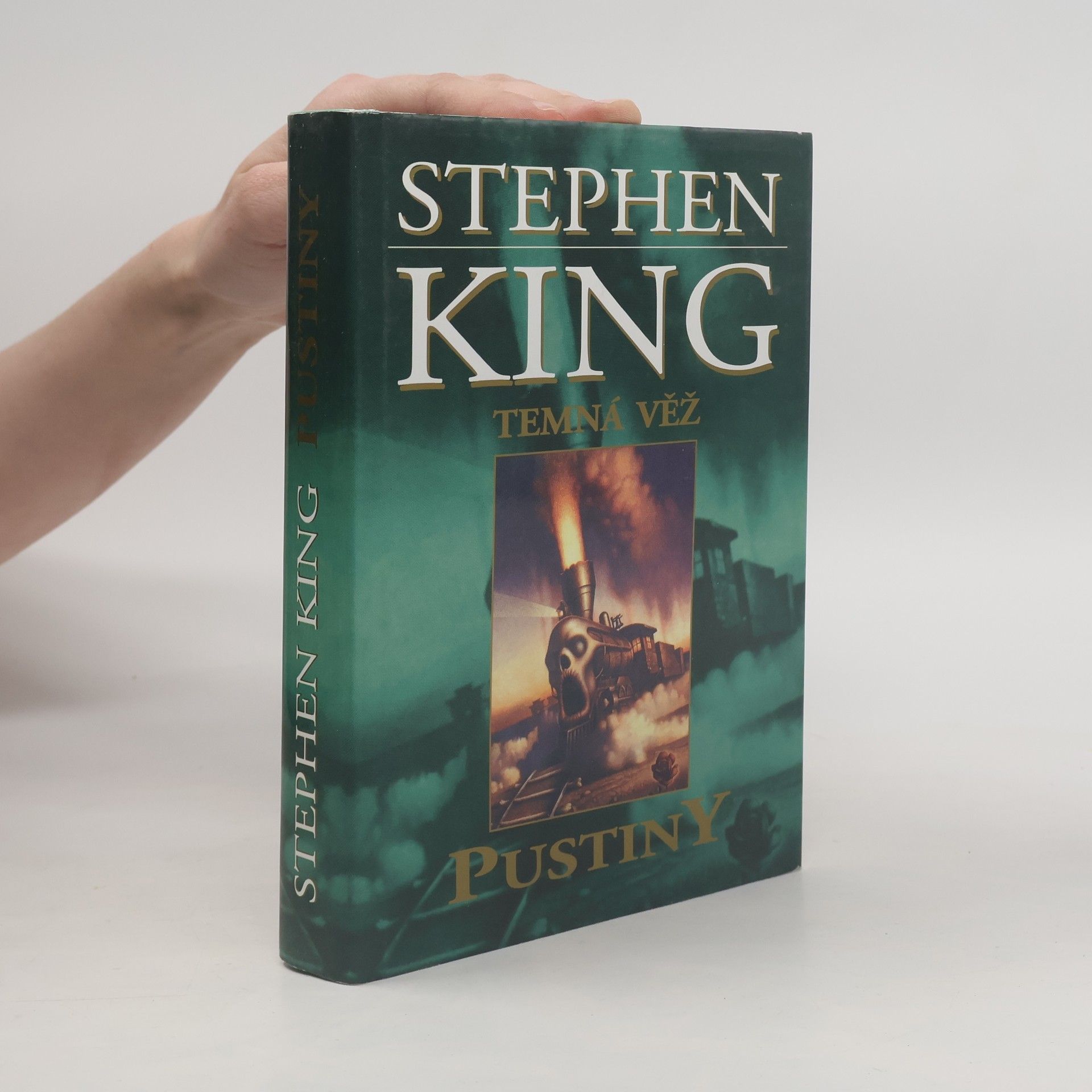 Stephen King Temná věž. Pustiny