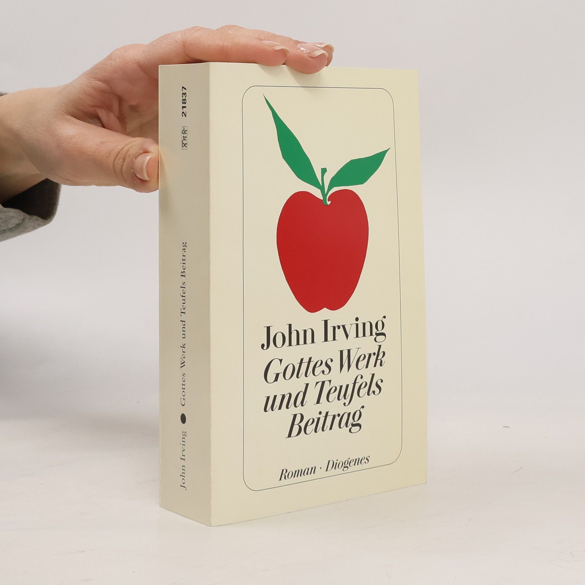 John Irving Gottes Werk und Teufels Beitrag