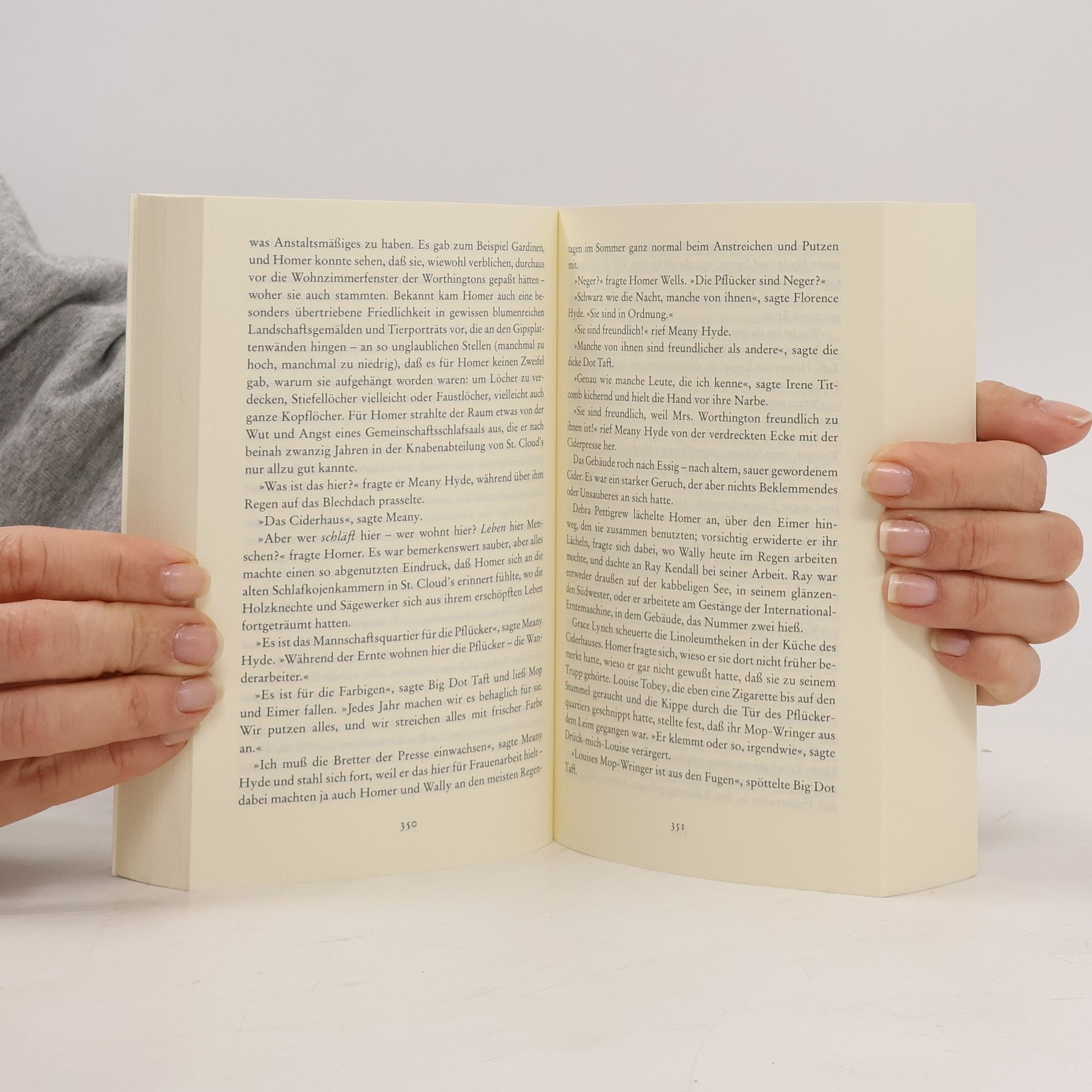 John Irving Gottes Werk und Teufels Beitrag
