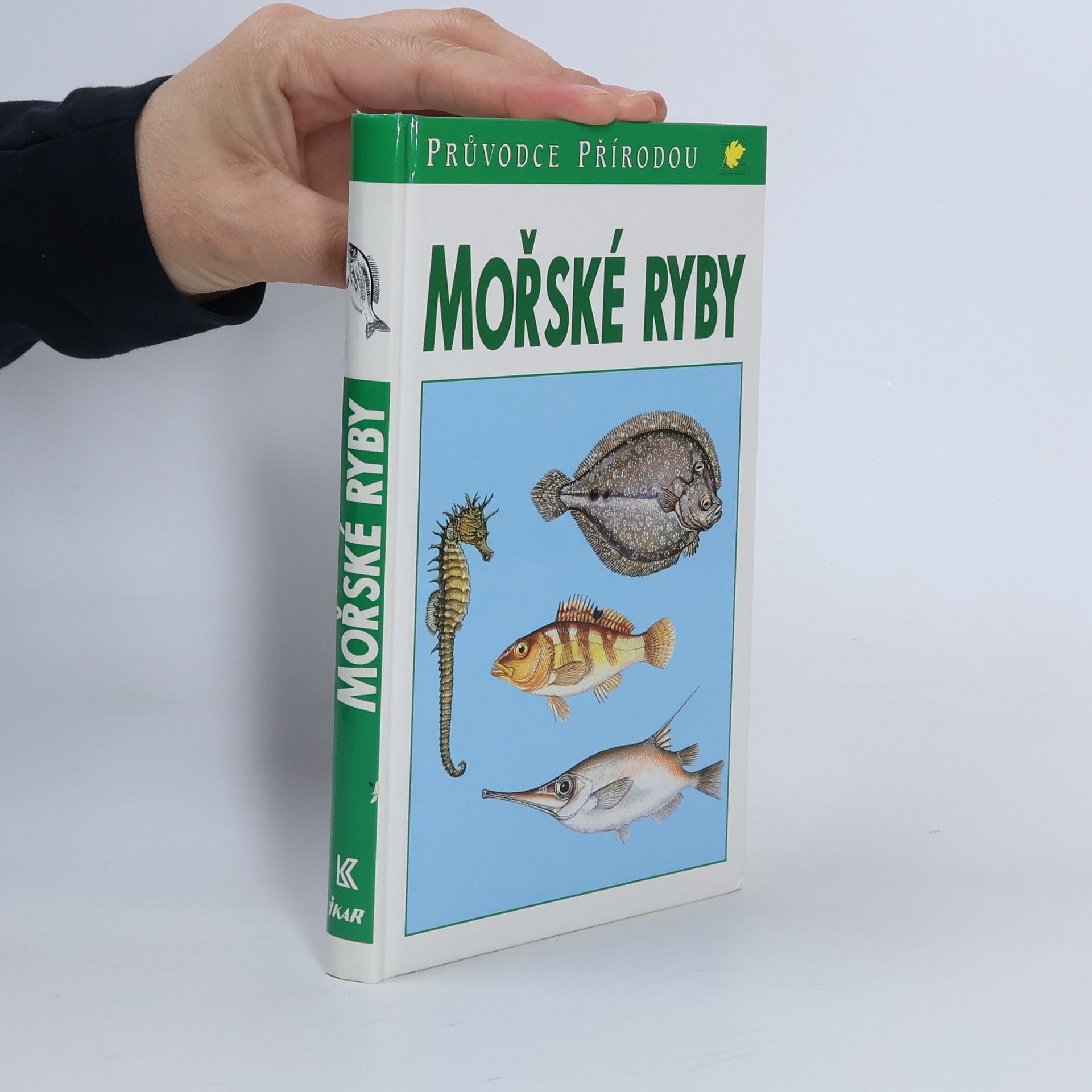 Sauer Frieder Mořské ryby v evropských vodách