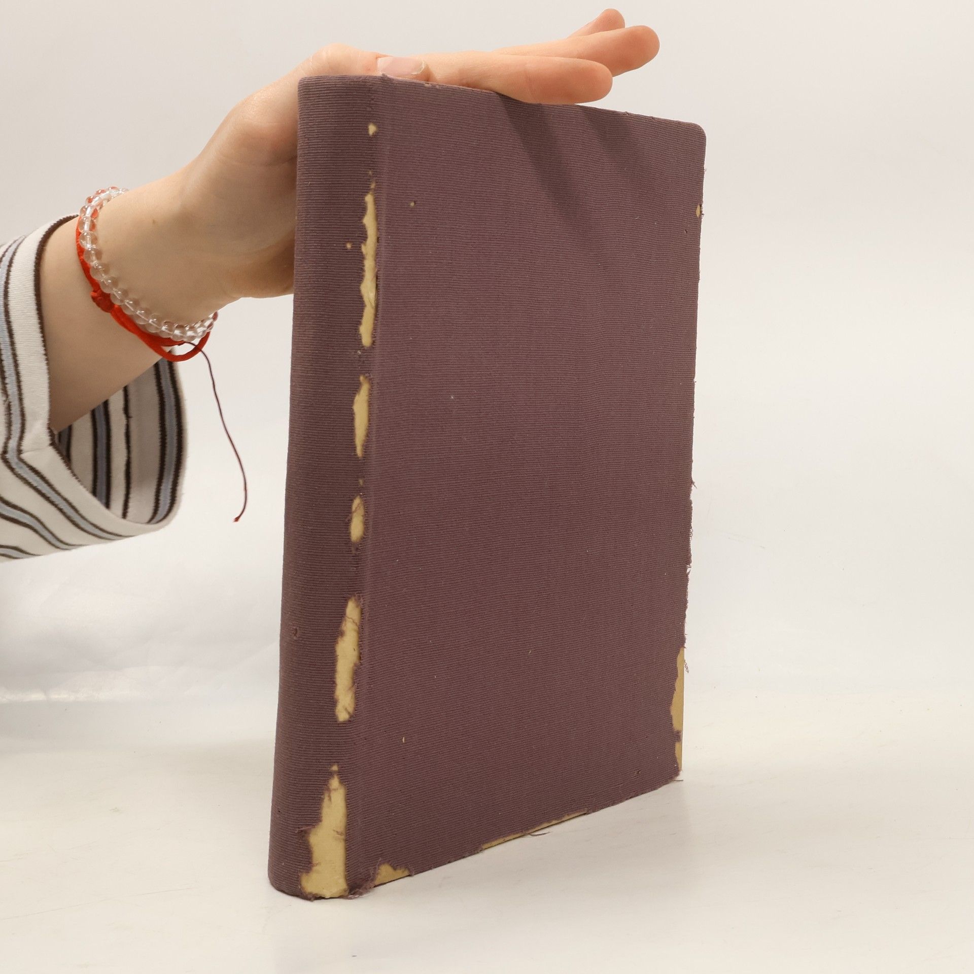 Dějiny umění V. Díl. Duch tvarů