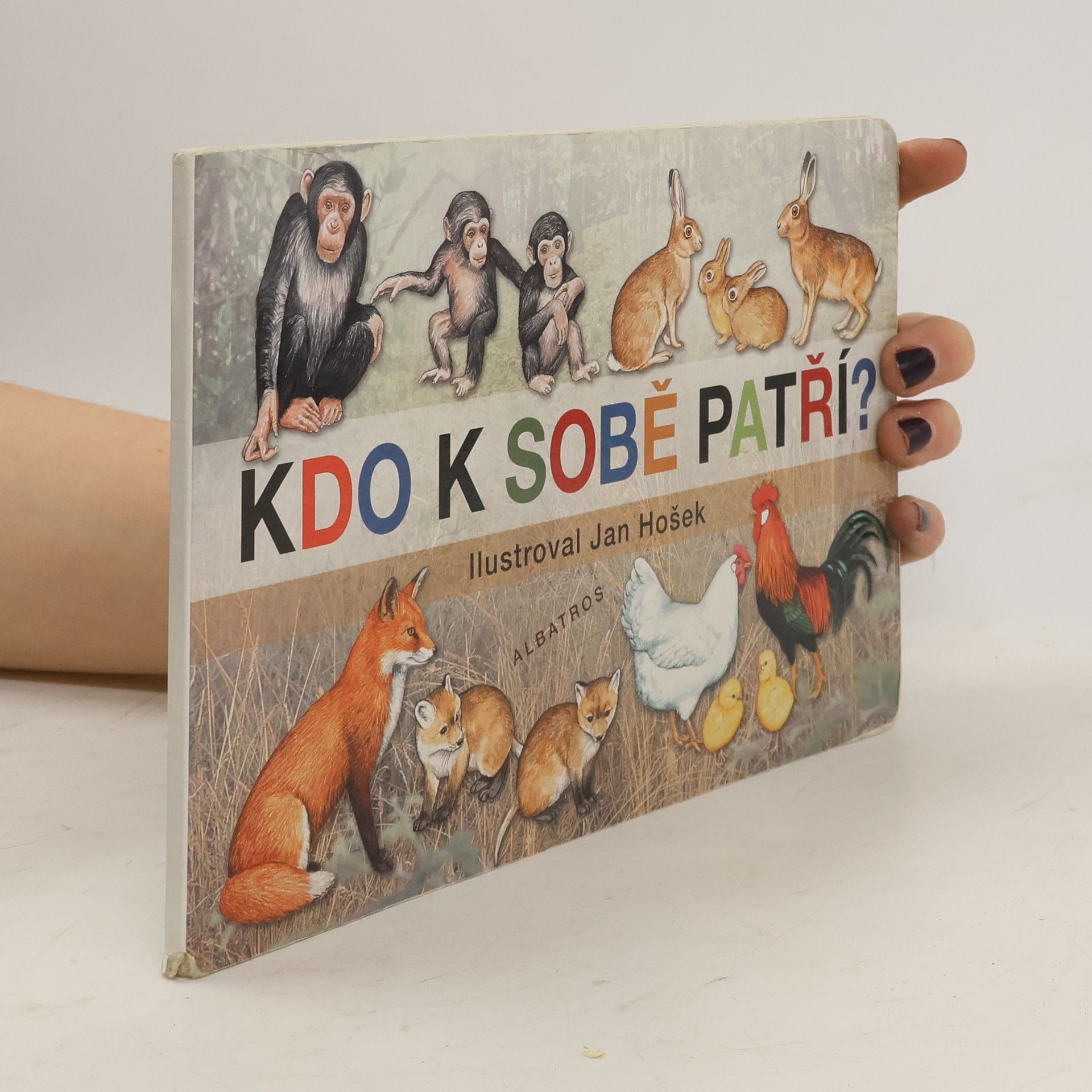 Jana Mikulecká Kdo k sobě patří