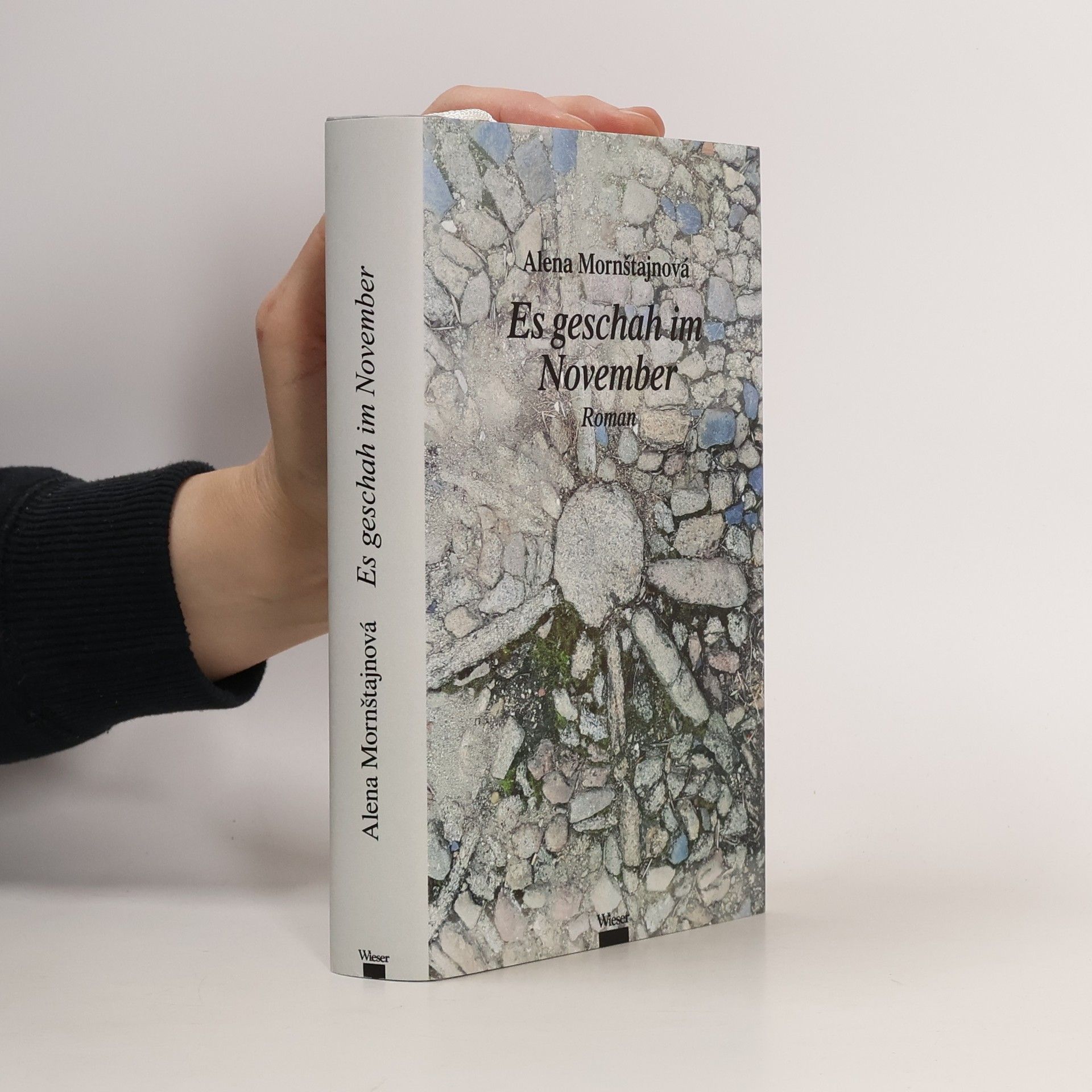 Alena Mornštajnová Es geschah im November