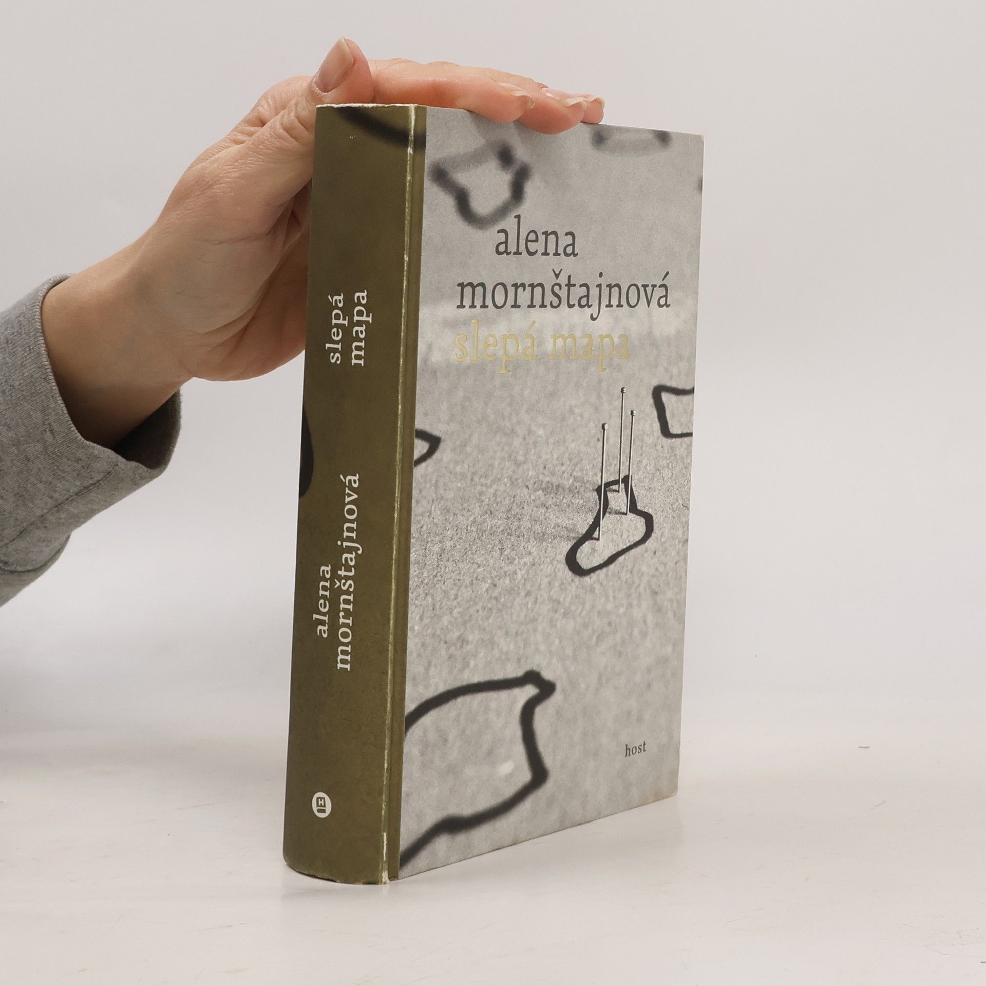Alena Mornštajnová Slepá mapa