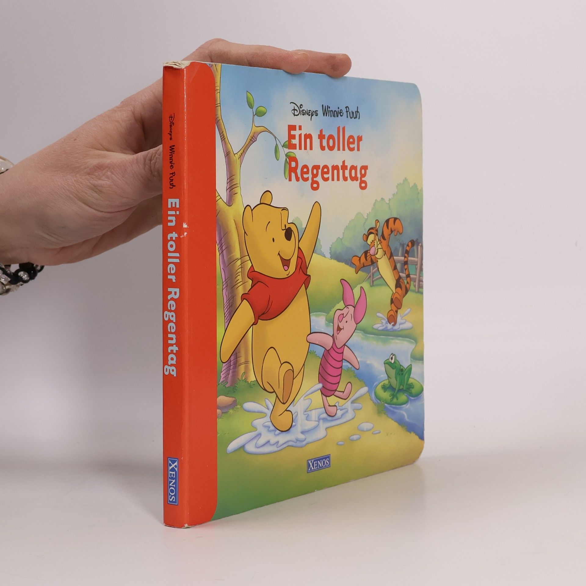 Collectif d'auteurs Ein toller Regentag