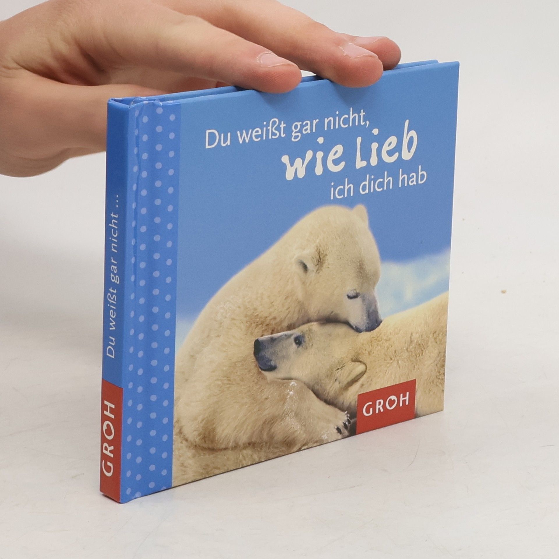 AA.VV. Du weißt gar nicht, wie lieb ich dich hab