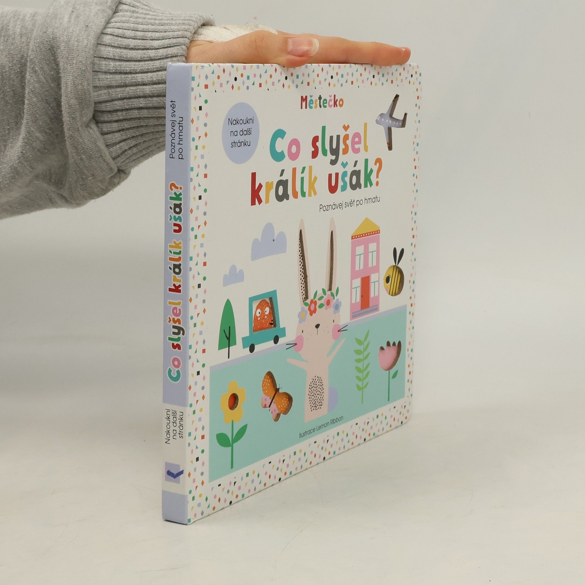 Graham Oakley Co slyšel králík ušák?