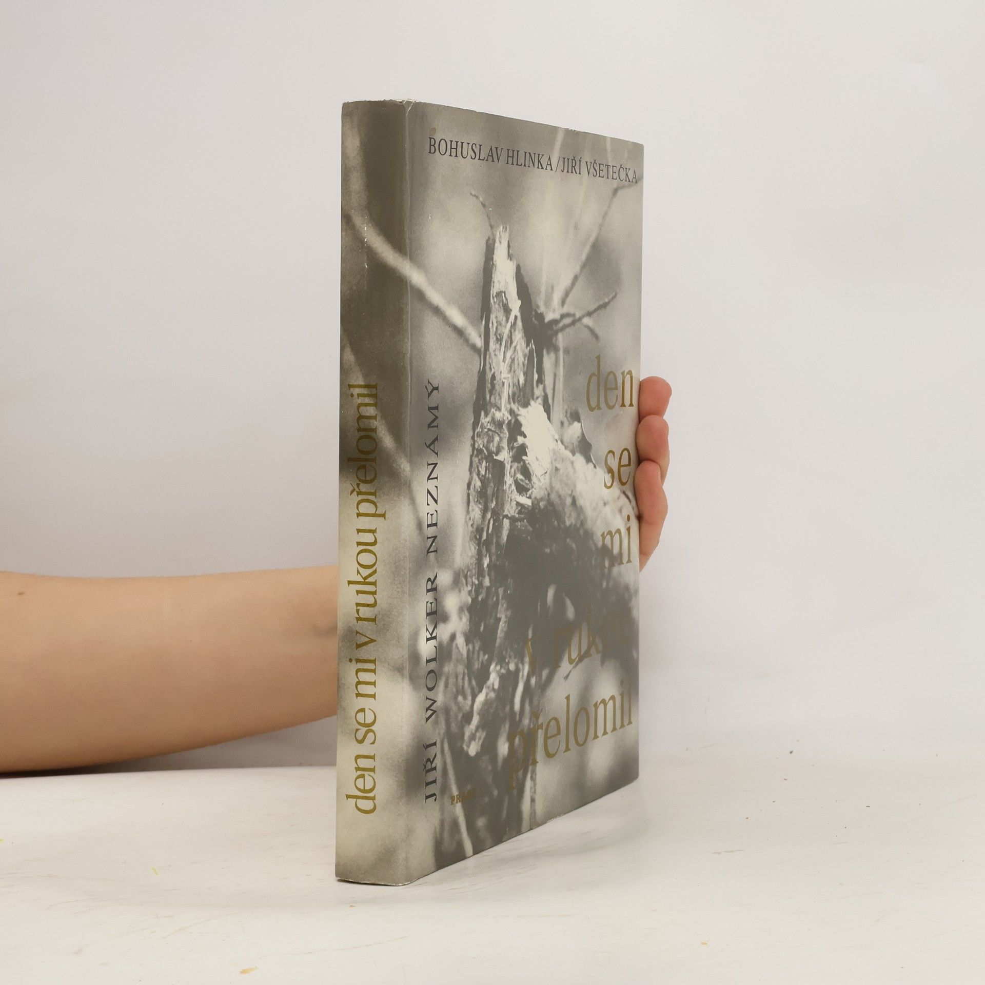 Den se mi v rukou přelomil