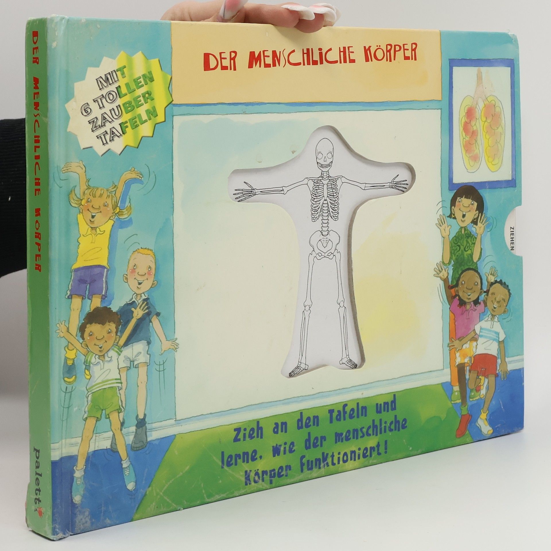 Autorenkollektiv Der Menschliche Körper