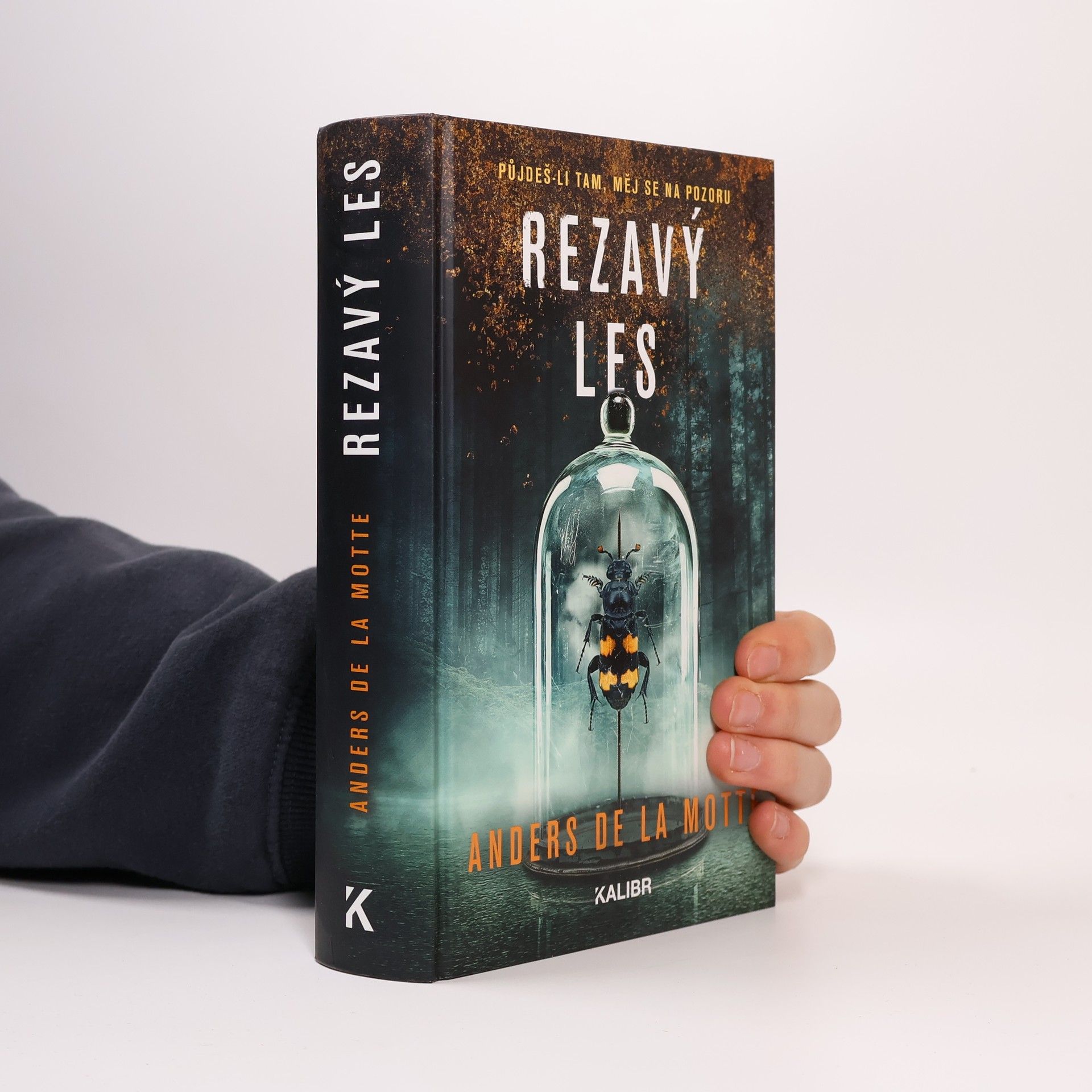 Anders De la Motte Rezavý les