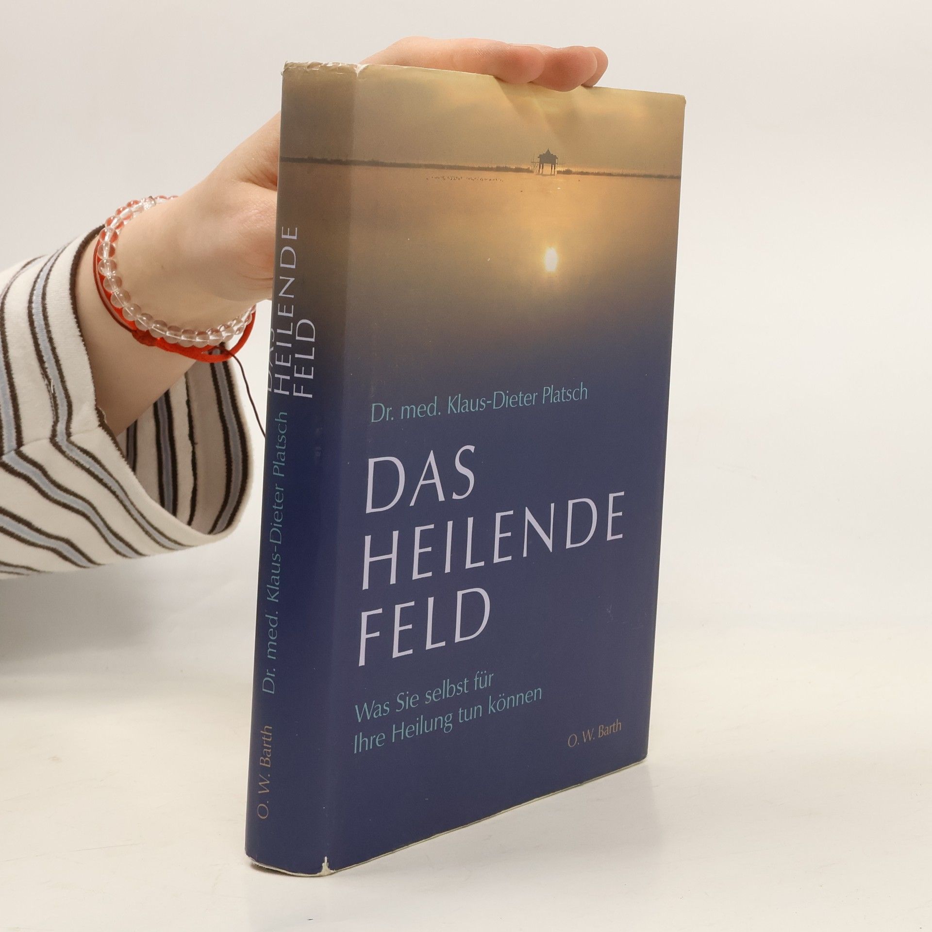 Klaus-Dieter Platsch Das heilende Feld. Was Sie selbst für Ihre Heilung tun können