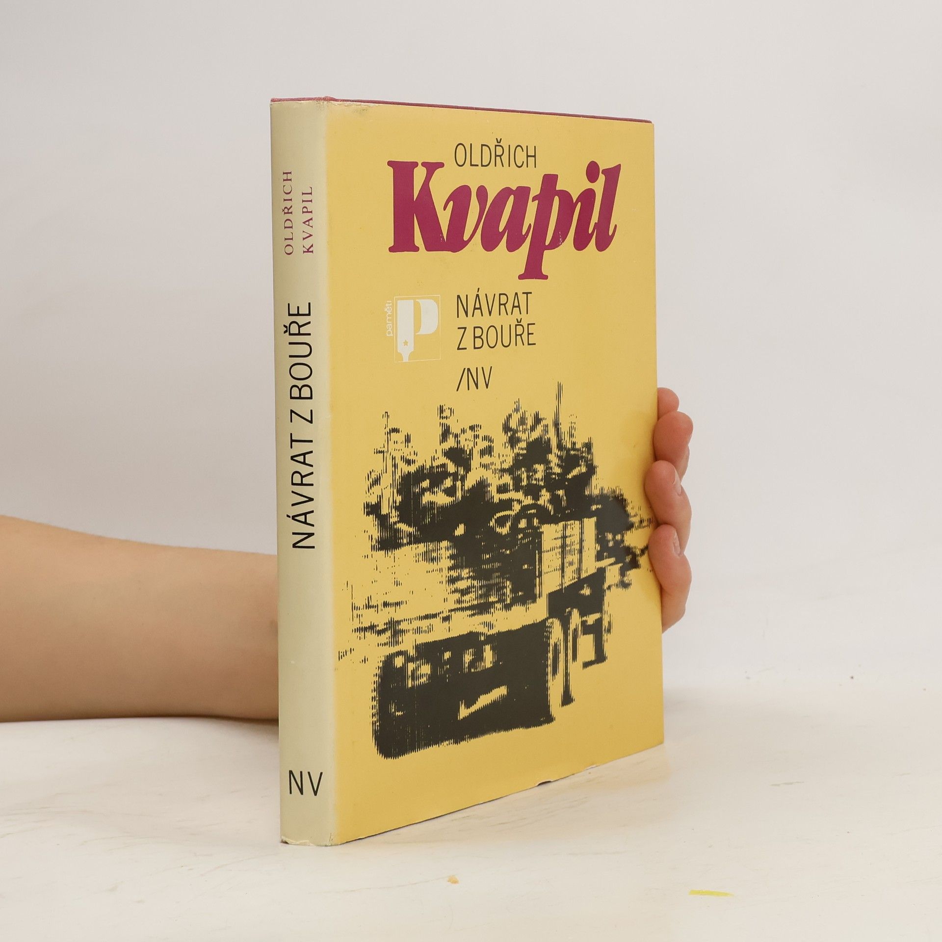 Oldřich Kvapil Návrat z bouře