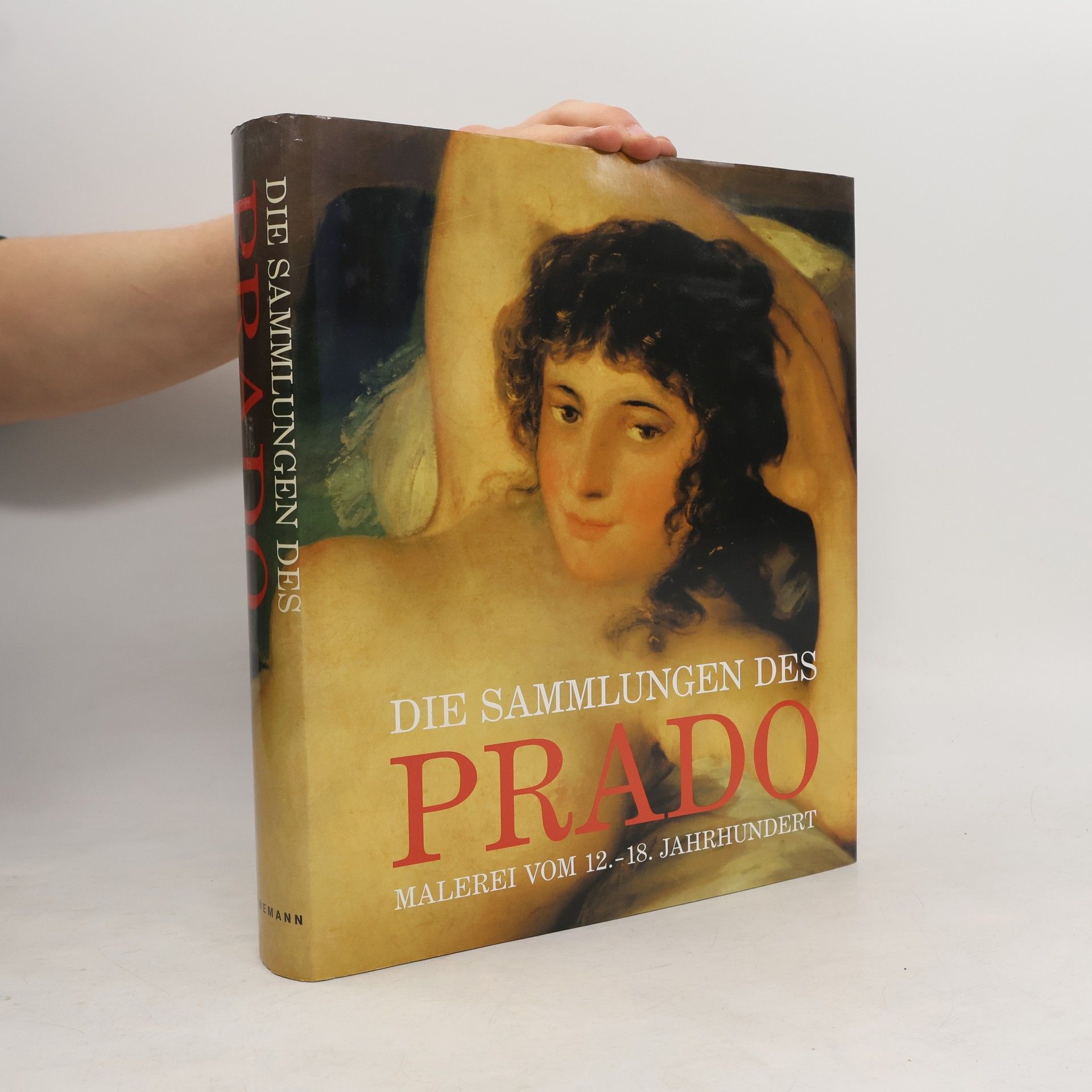 José Rogelio Buendía Die Sammlungen des Prado : malerei vom 12. - 18. Jahrhundert