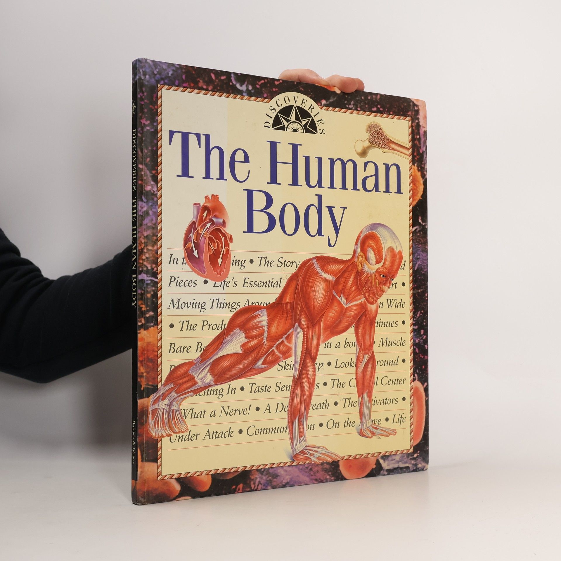 Steve Parker Discoveries