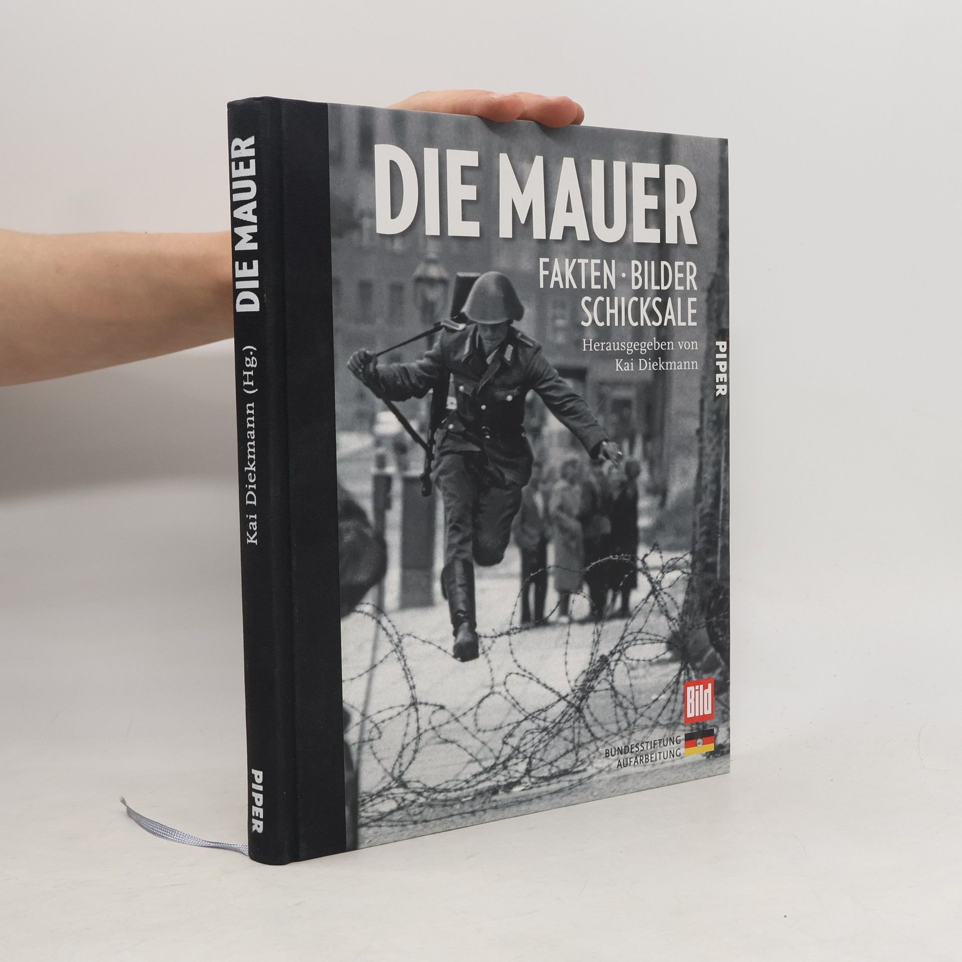 Kai Diekmann Die Mauer