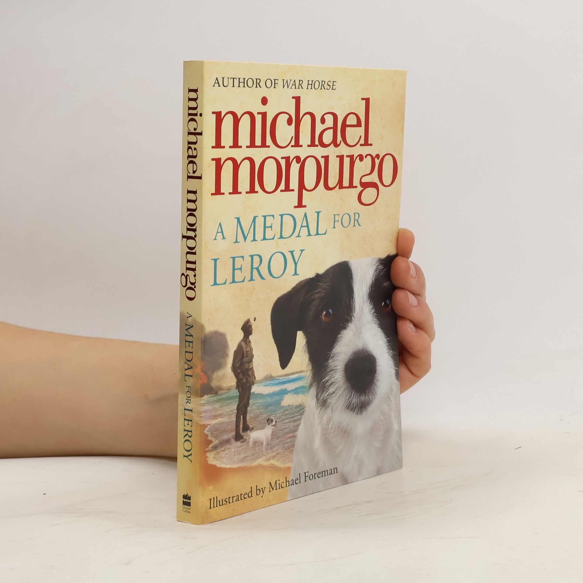 Michael Morpurgo A Medal for Leroy